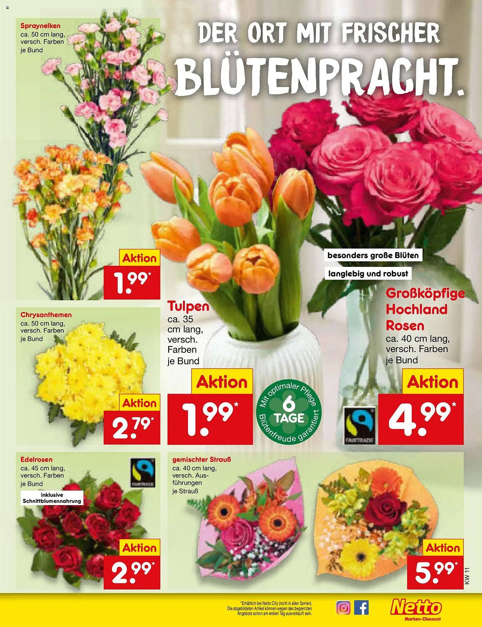 Netto Marken-Discount Prospekt (2026-03-09 - 2026-03-14)