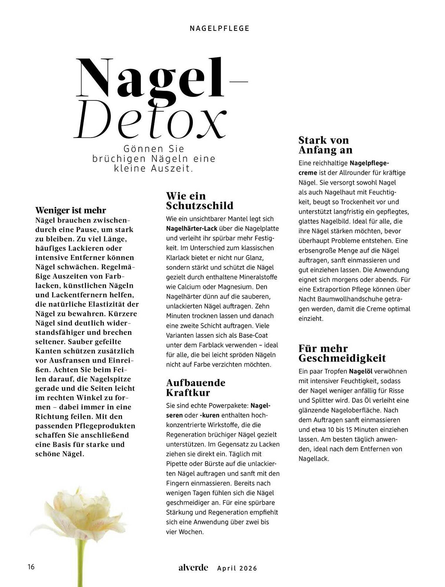 Dm drogerie Magazin (2026-04-01 - 2026-04-30)