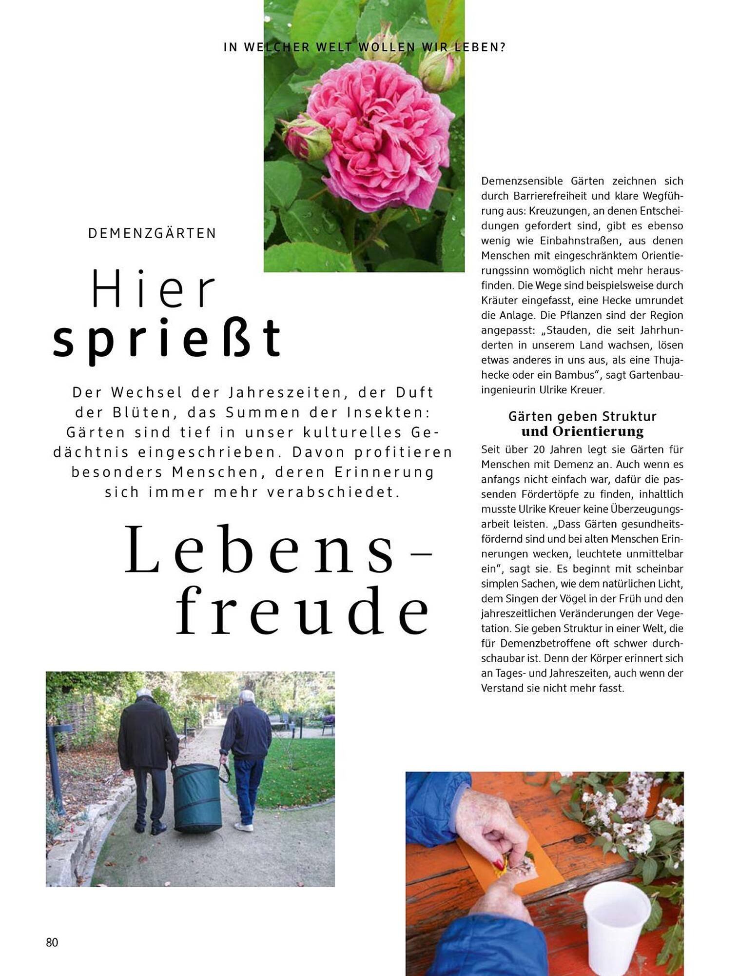 Dm drogerie Magazin (2026-04-01 - 2026-04-30)