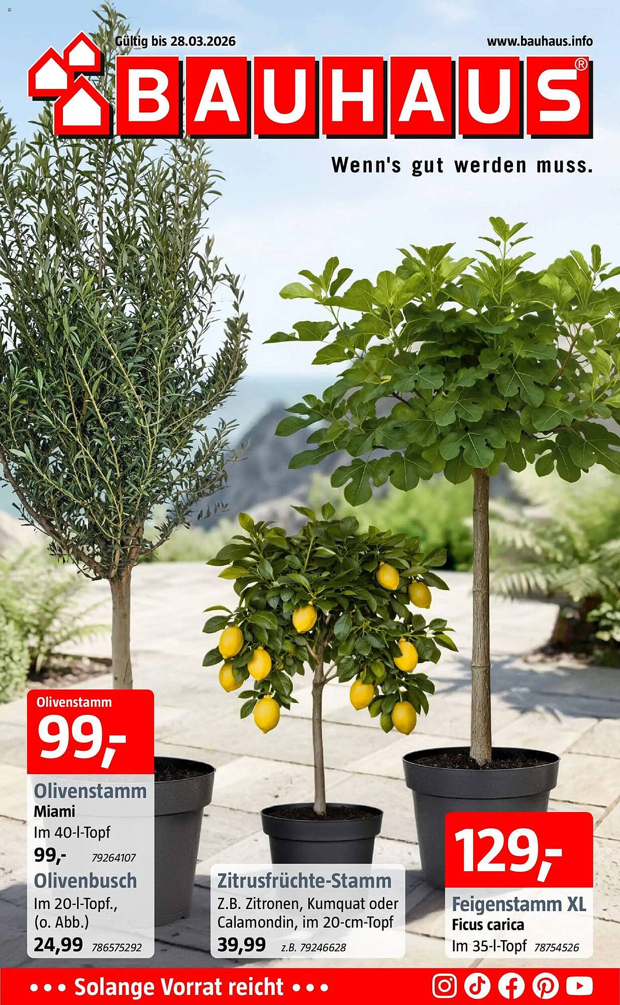 Bauhaus Prospekt (2026-03-16 - 2026-03-28)