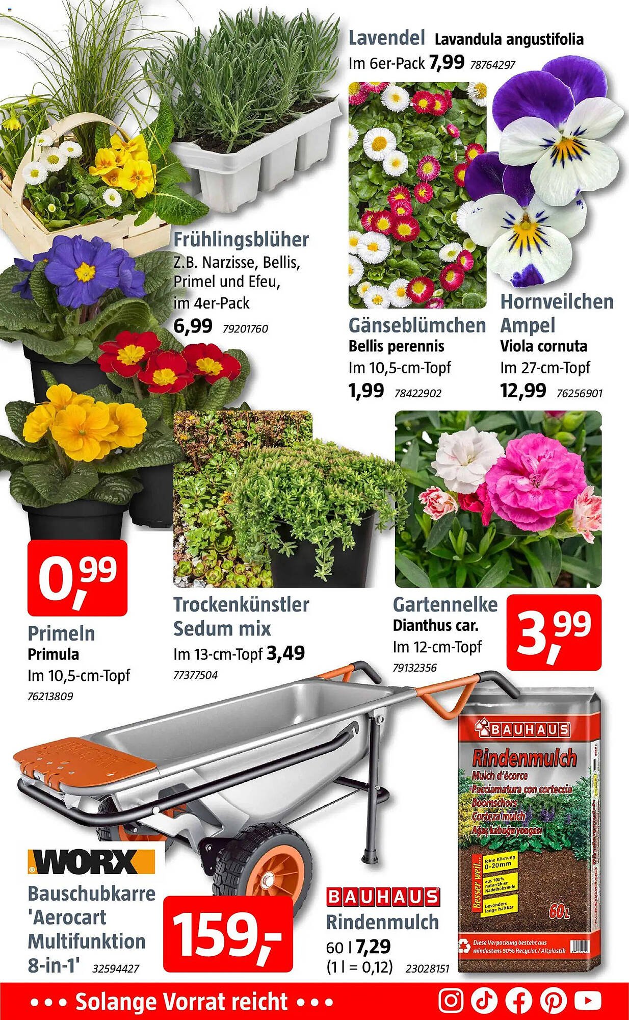 Bauhaus Prospekt (2026-03-16 - 2026-03-28)