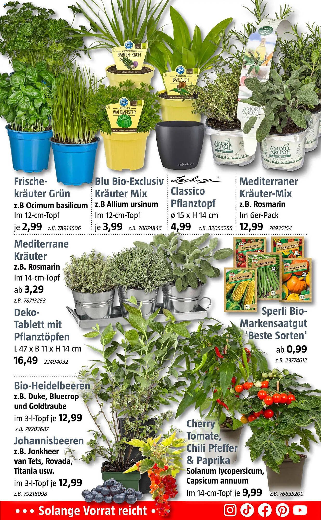 Bauhaus Prospekt (2026-03-16 - 2026-03-28)