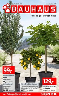 Bauhaus Prospekt (2026-03-16 - 2026-03-28)