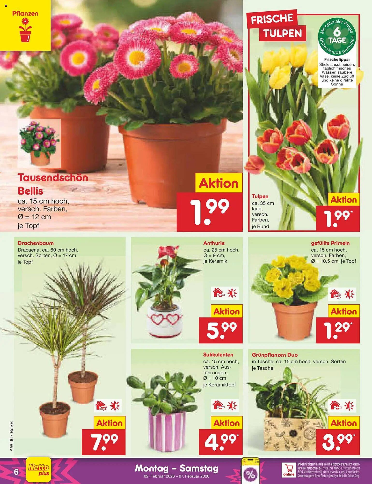 Netto Marken-Discount Prospekt (2026-02-02 - 2026-02-07)