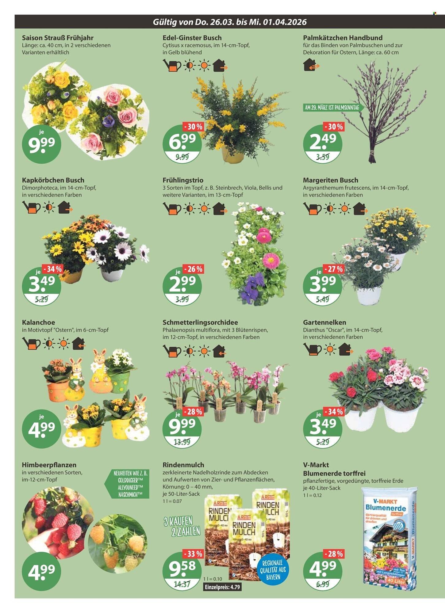 V Markt Prospekt (2026-03-26 - 2026-04-01)