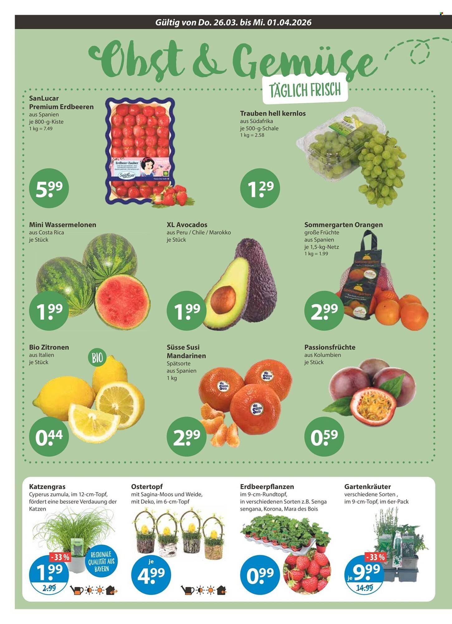 V Markt Prospekt (2026-03-26 - 2026-04-01)