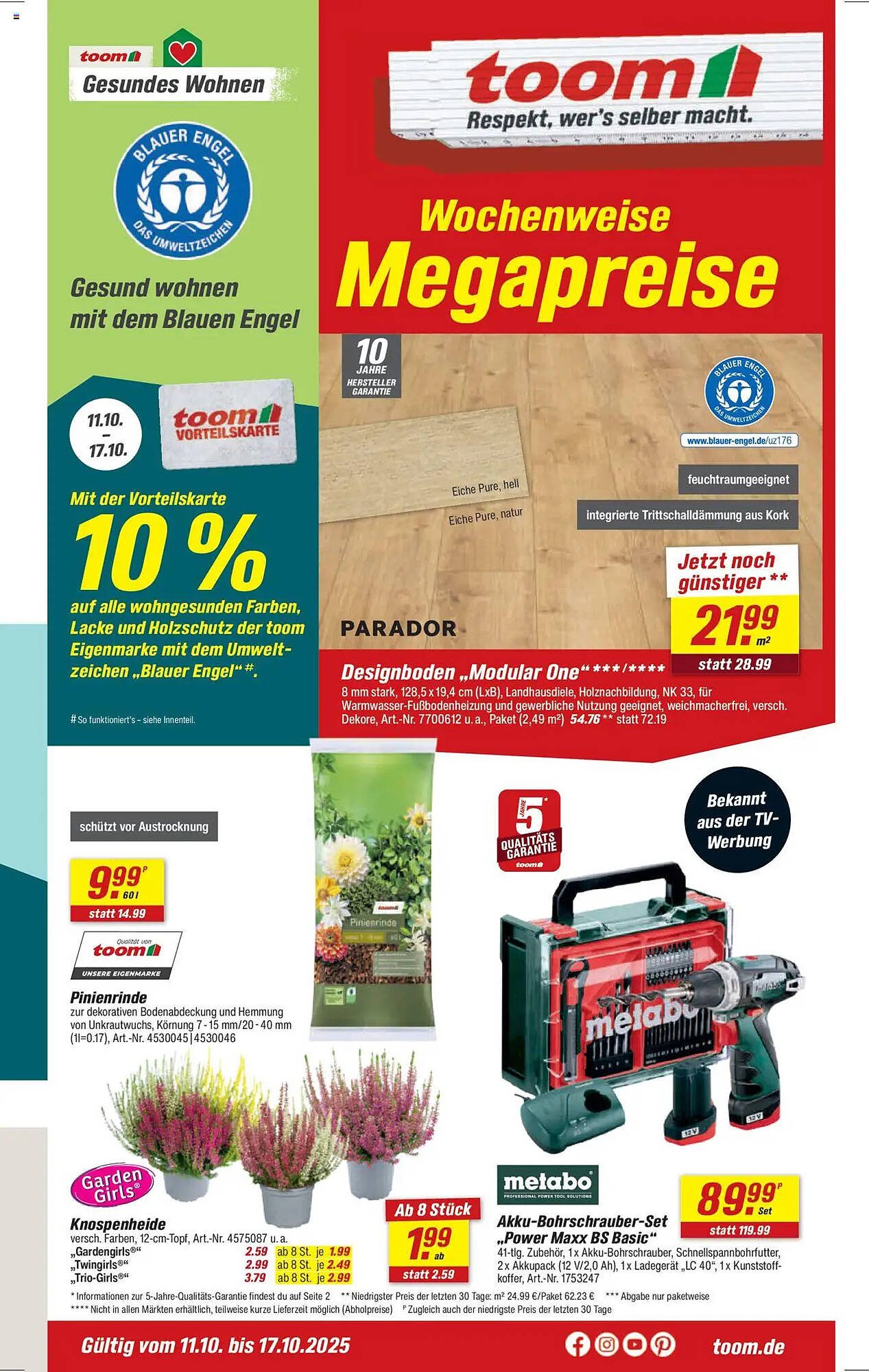 Toom Baumarkt Prospekt (2025-10-11 - 2025-10-17) | 1
