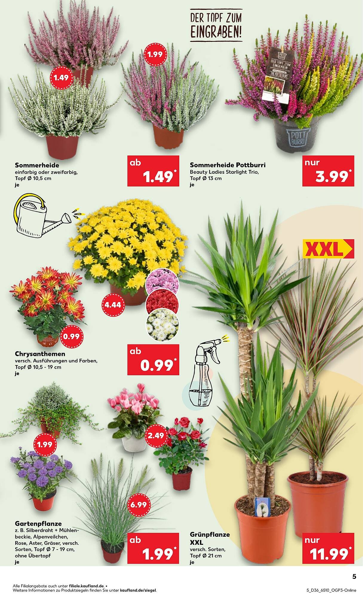 Kaufland Prospekt (2025-09-04 - 2025-09-10) | 5