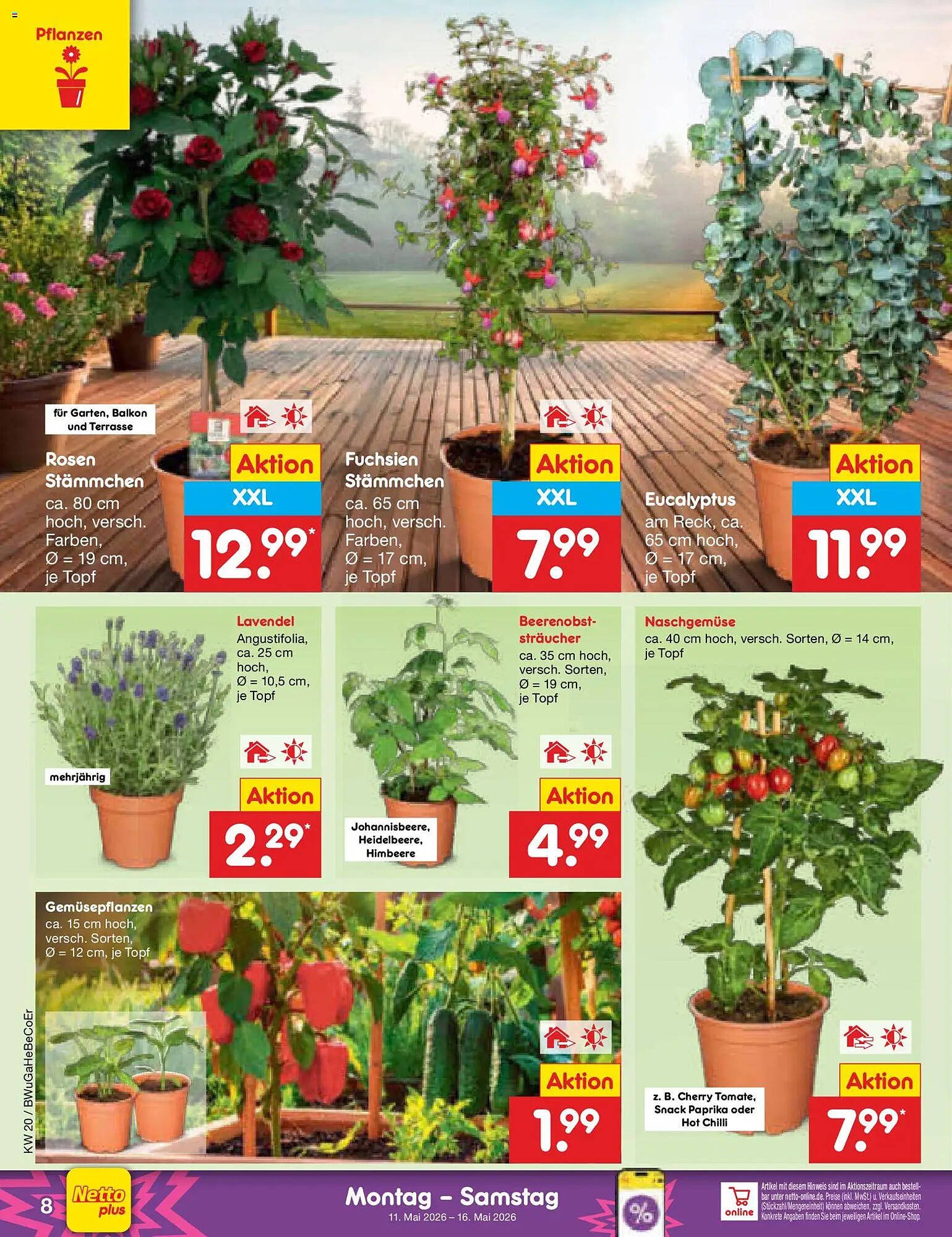 Netto Marken-Discount Prospekt (2026-05-11 - 2026-05-16)