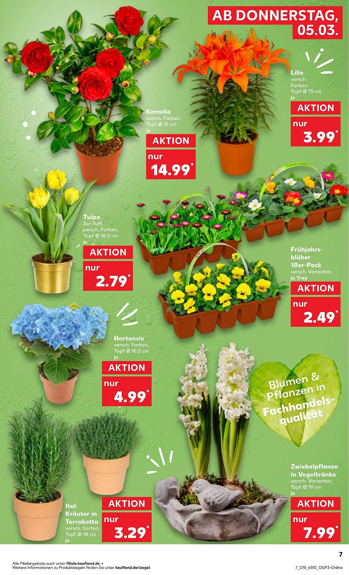 Kaufland Prospekt (2026-03-04 - 2026-03-10)