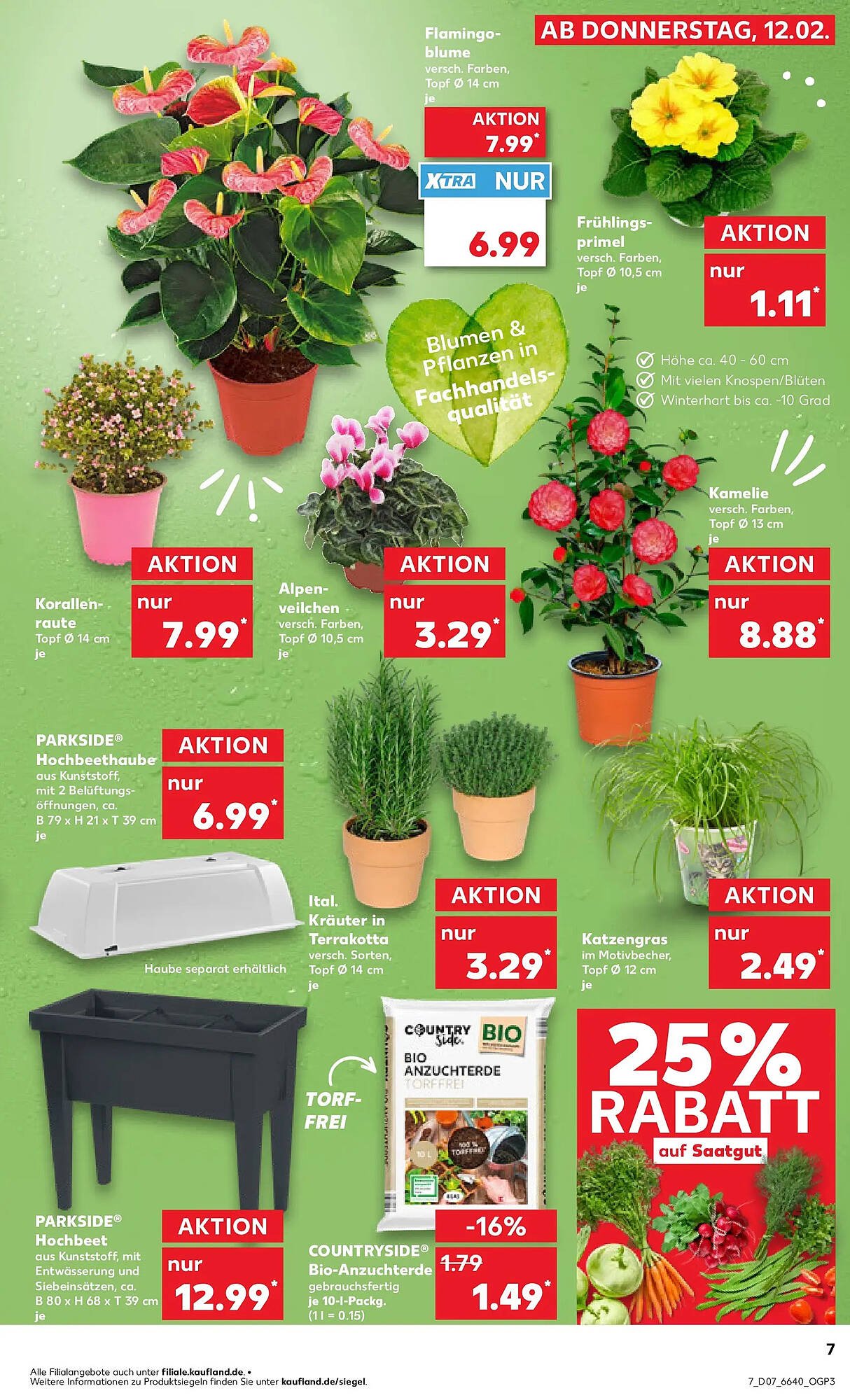 Kaufland Prospekt (2026-02-11 - 2026-02-18)