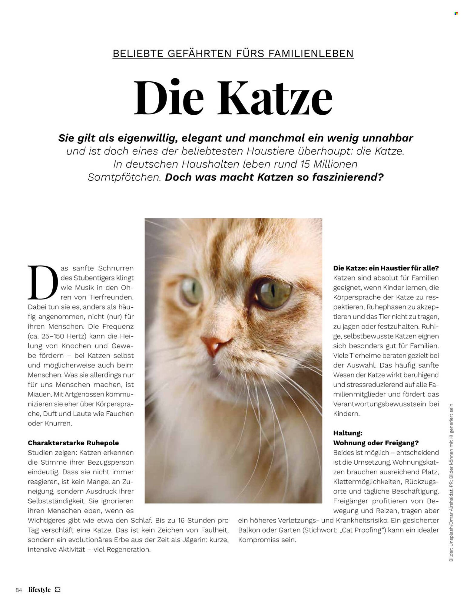 Müller Magazin (2026-05-01 - 2026-06-30)