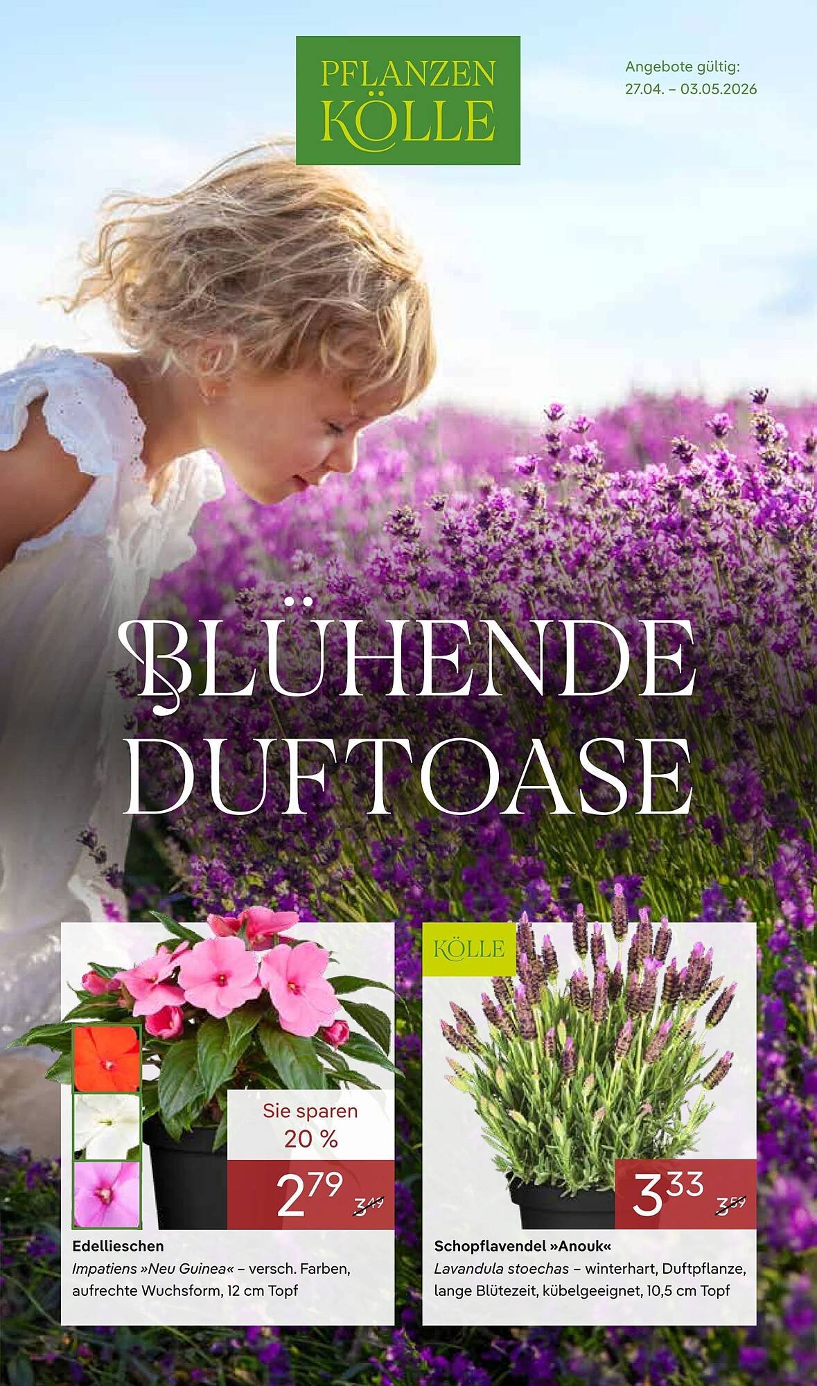 Pflanzen Kölle Prospekt