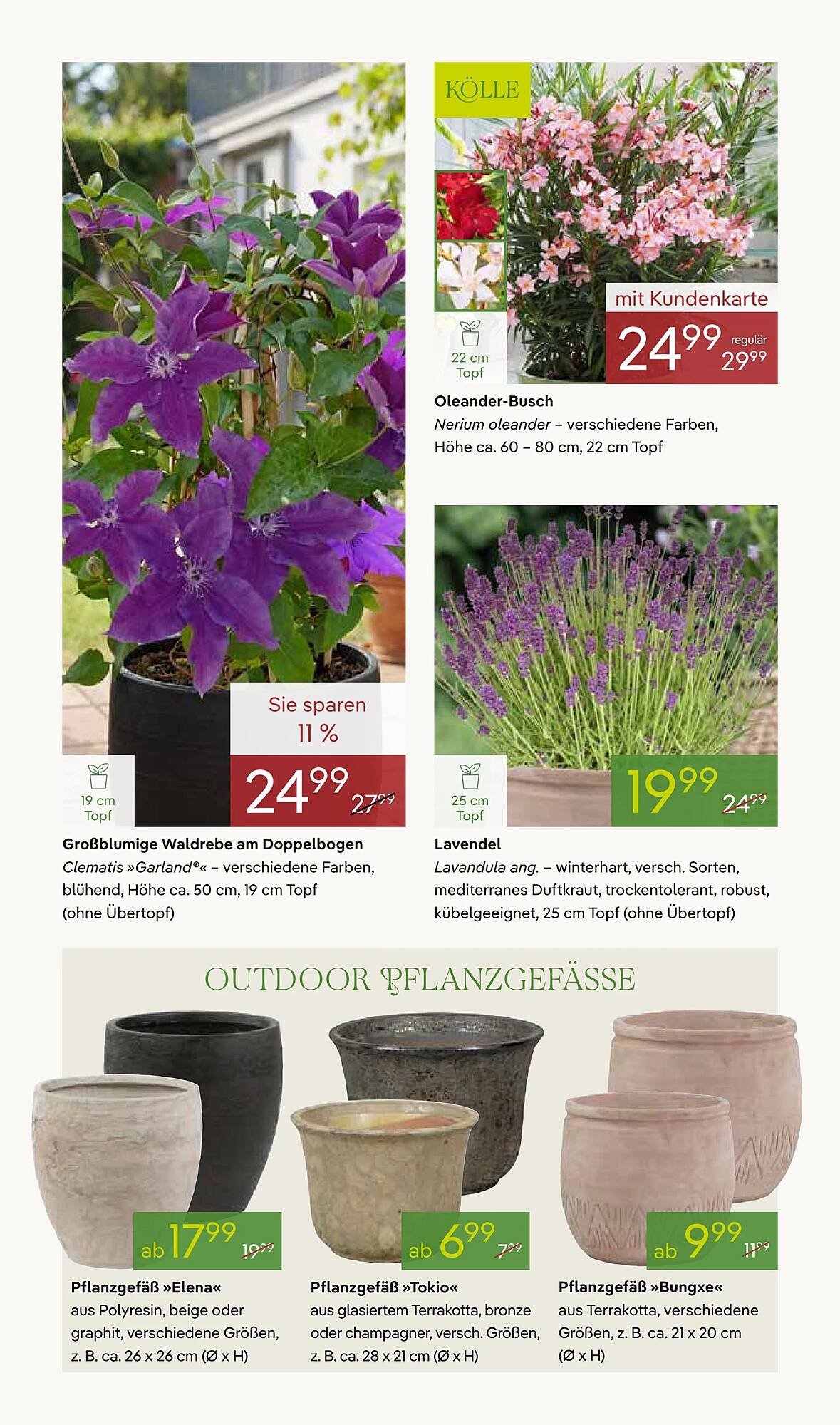 Pflanzen Kölle Prospekt