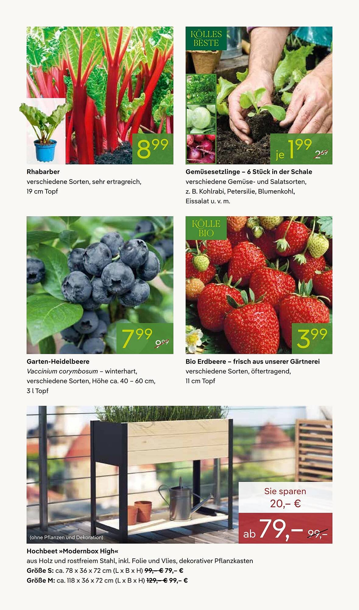 Pflanzen Kölle Prospekt