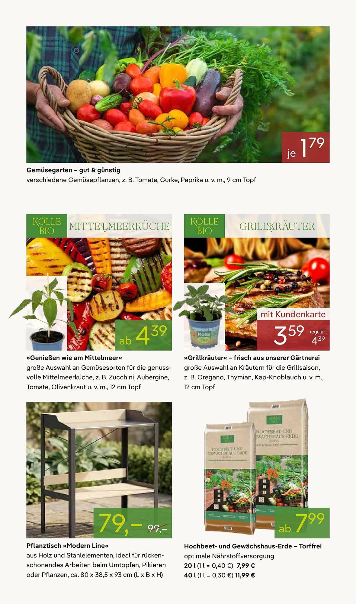 Pflanzen Kölle Prospekt