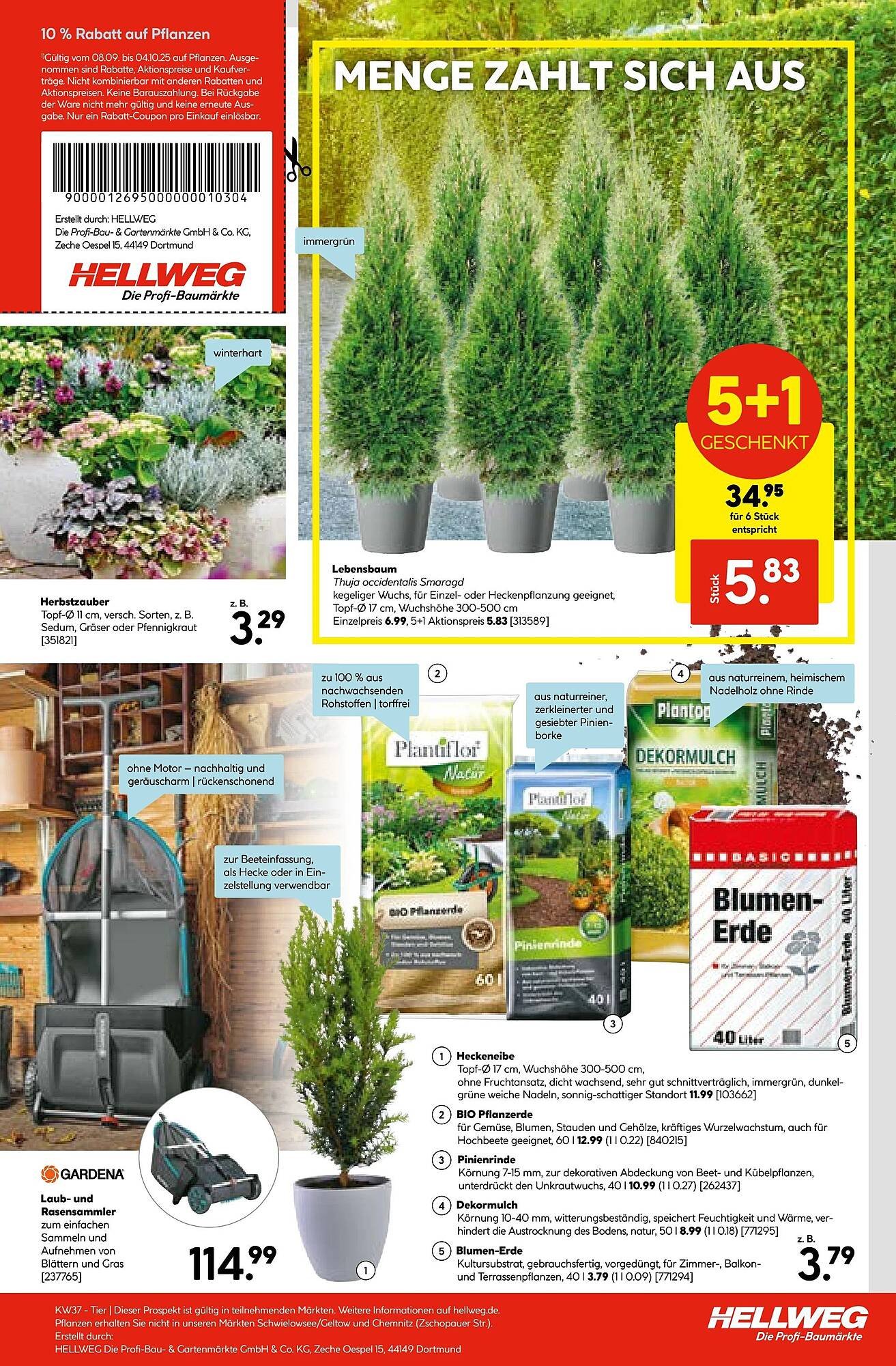 Hellweg Prospekt (2025-09-08 - 2025-09-14) | 19