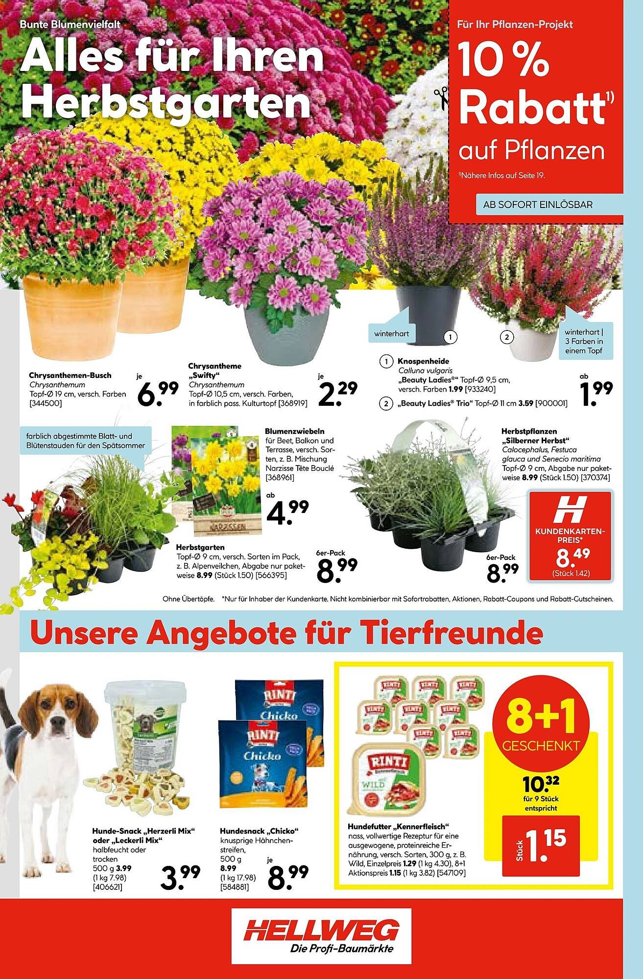 Hellweg Prospekt (2025-09-08 - 2025-09-14) | 20