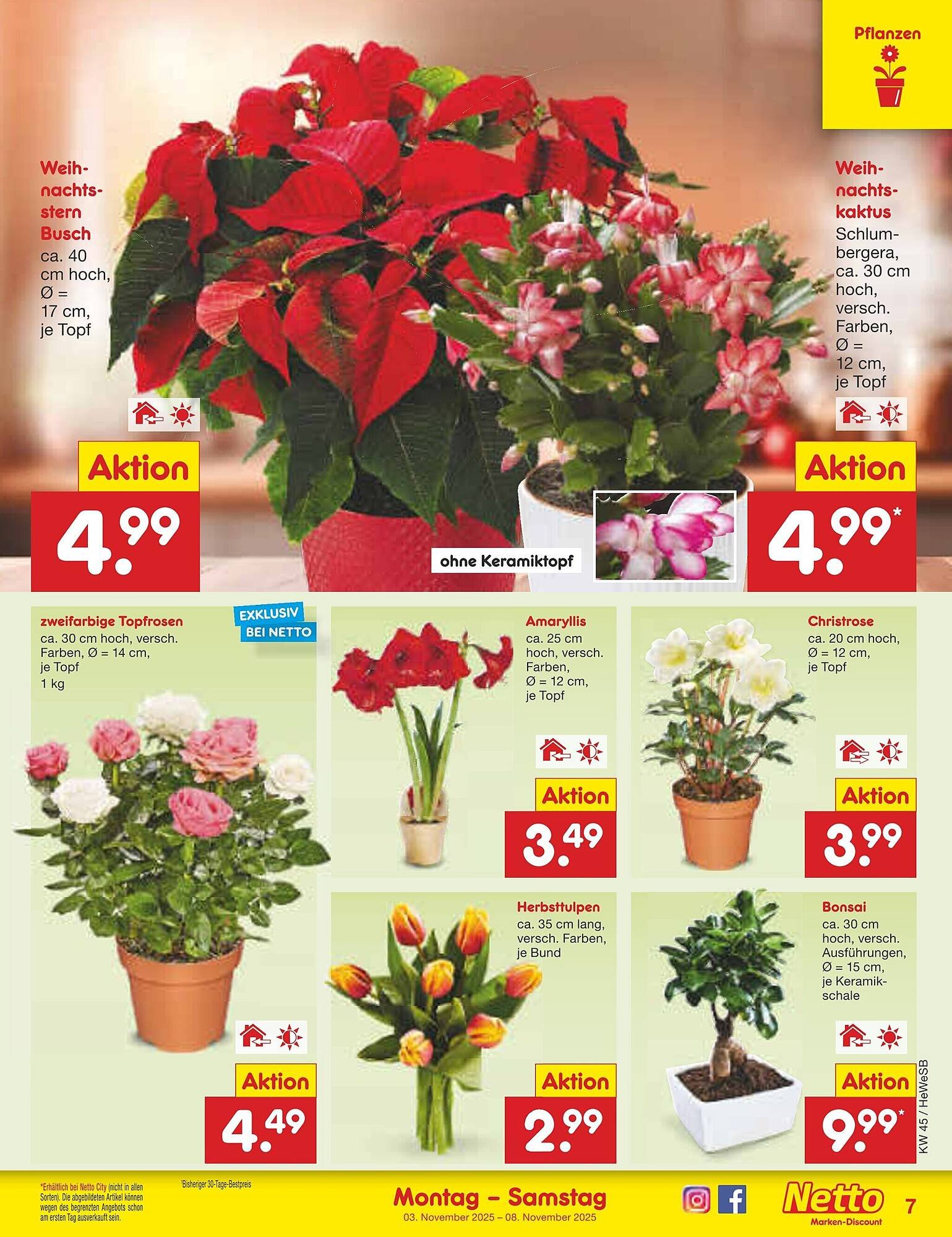 Netto Marken-Discount Prospekt (2025-11-03 - 2025-11-08)