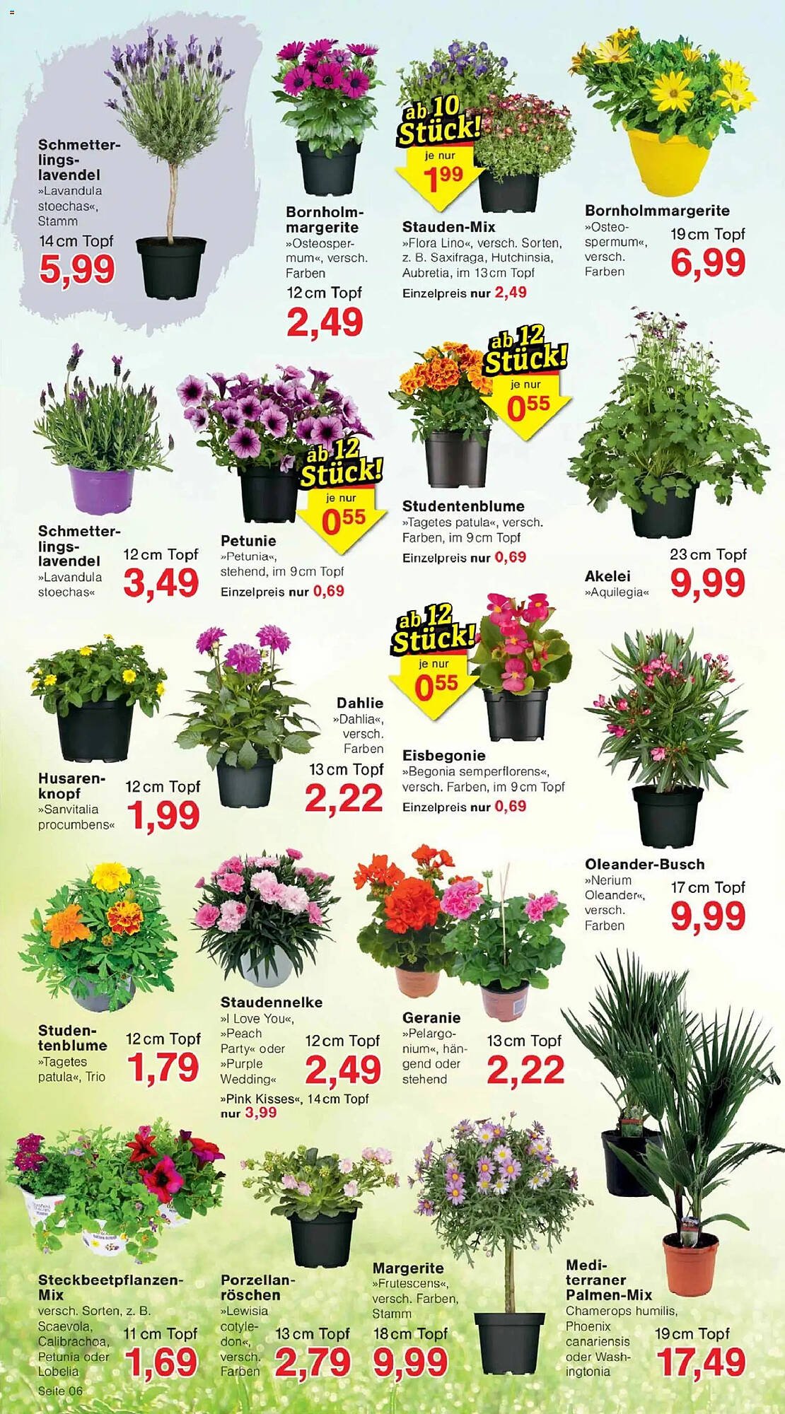 Jawoll Prospekt (2026-04-27 - 2026-05-02)