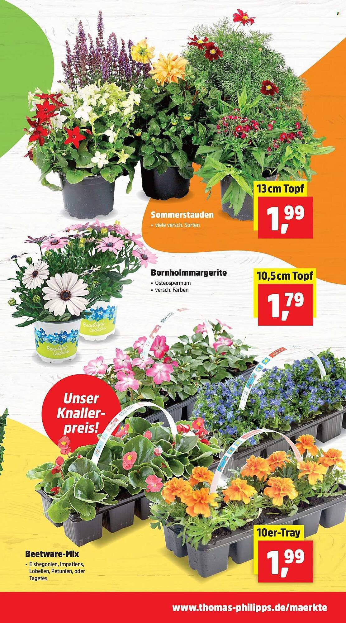 Thomas Philipps Prospekt (2026-04-20 - 2026-04-25)