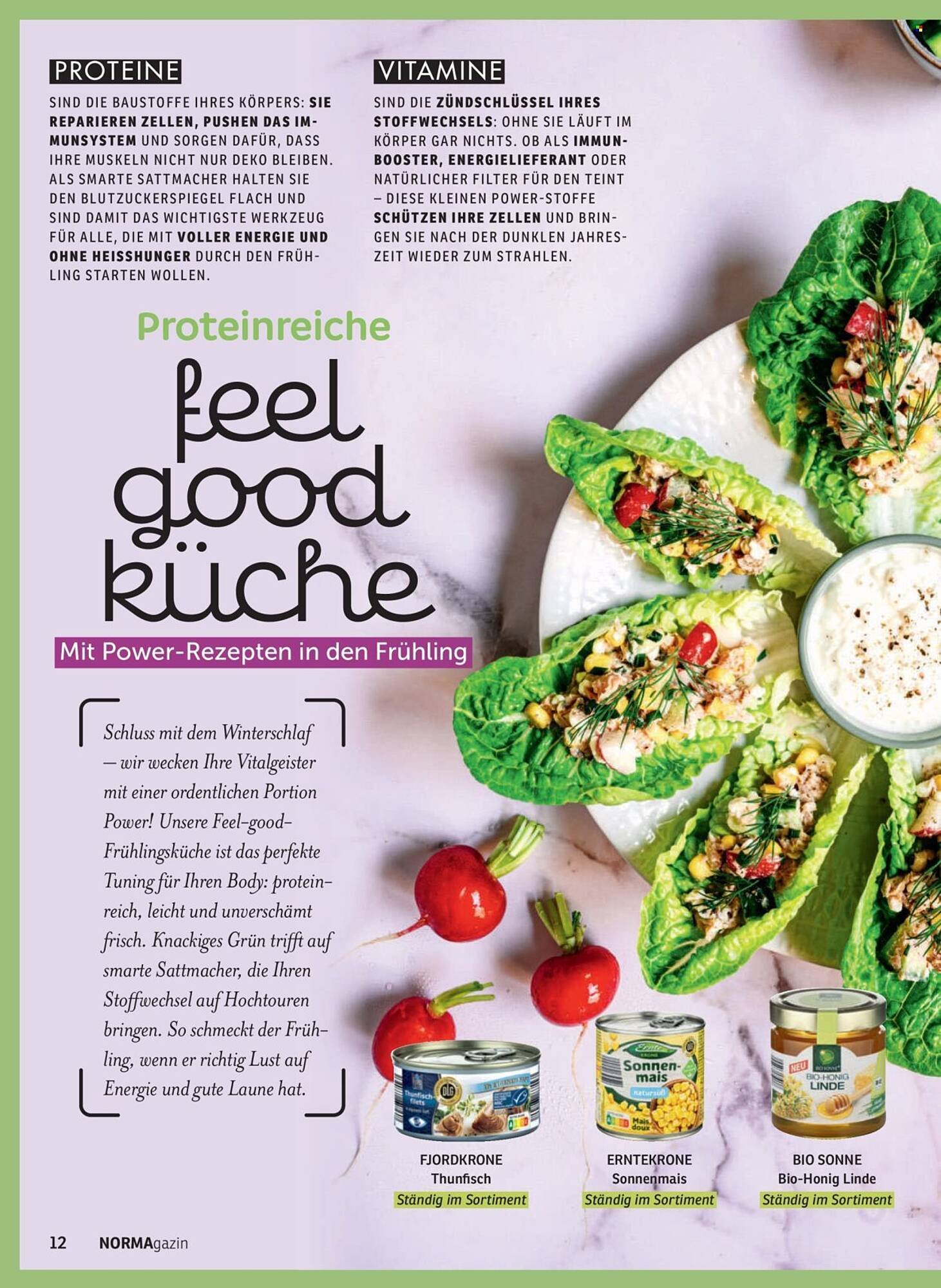 Norma Magazin (2026-03-01 - 2026-04-30)