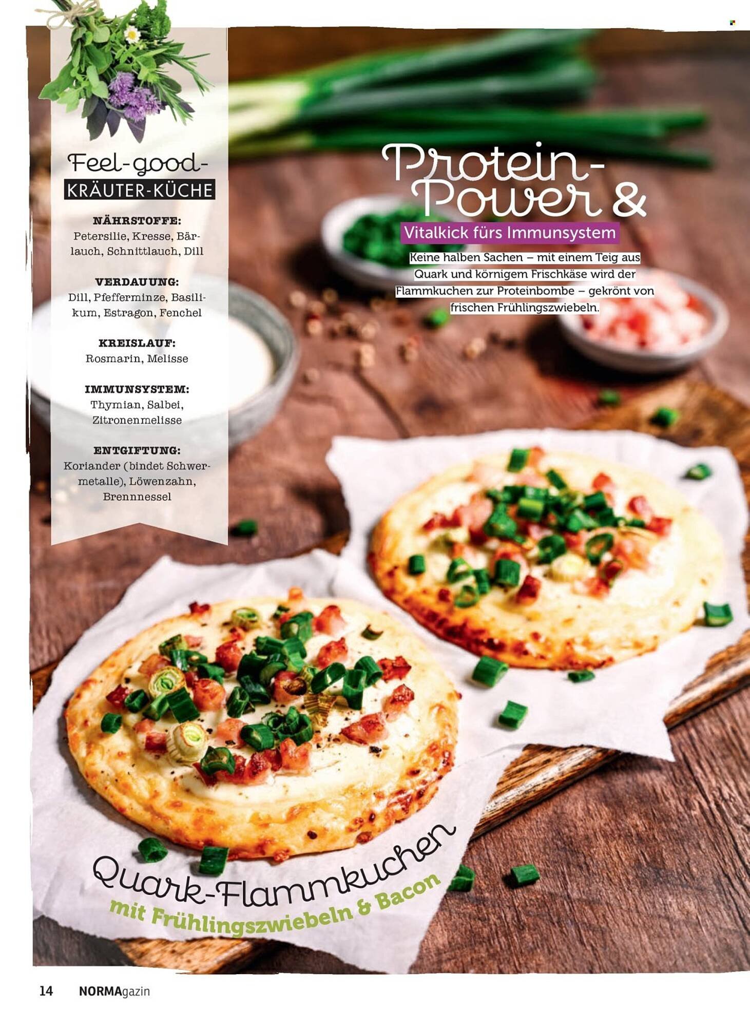 Norma Magazin (2026-03-01 - 2026-04-30)