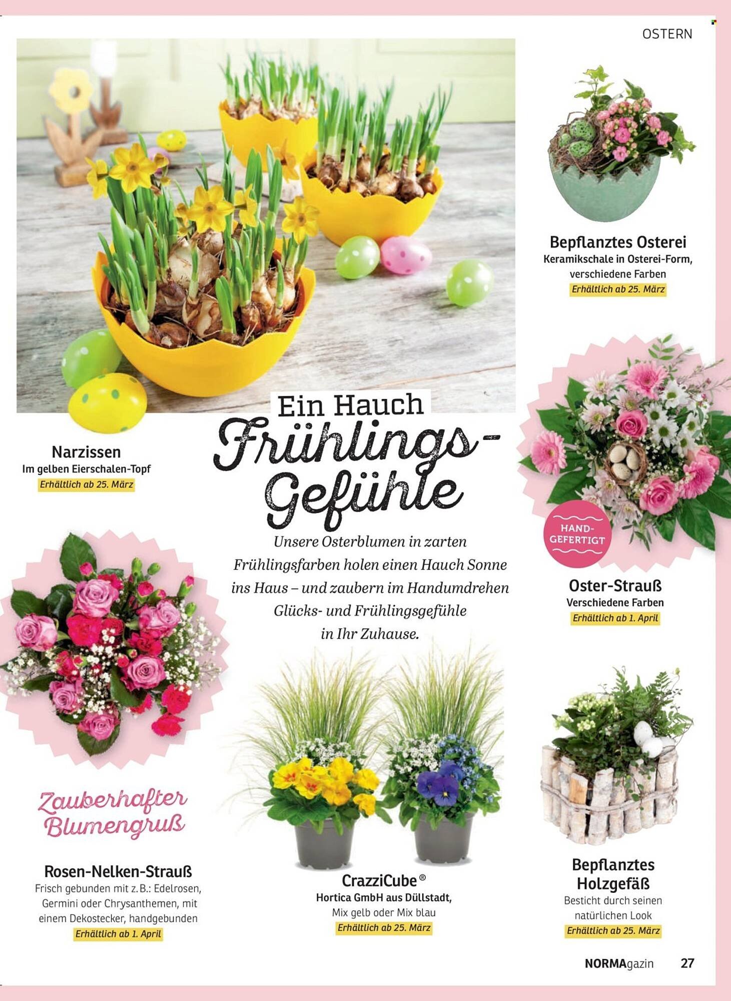 Norma Magazin (2026-03-01 - 2026-04-30)