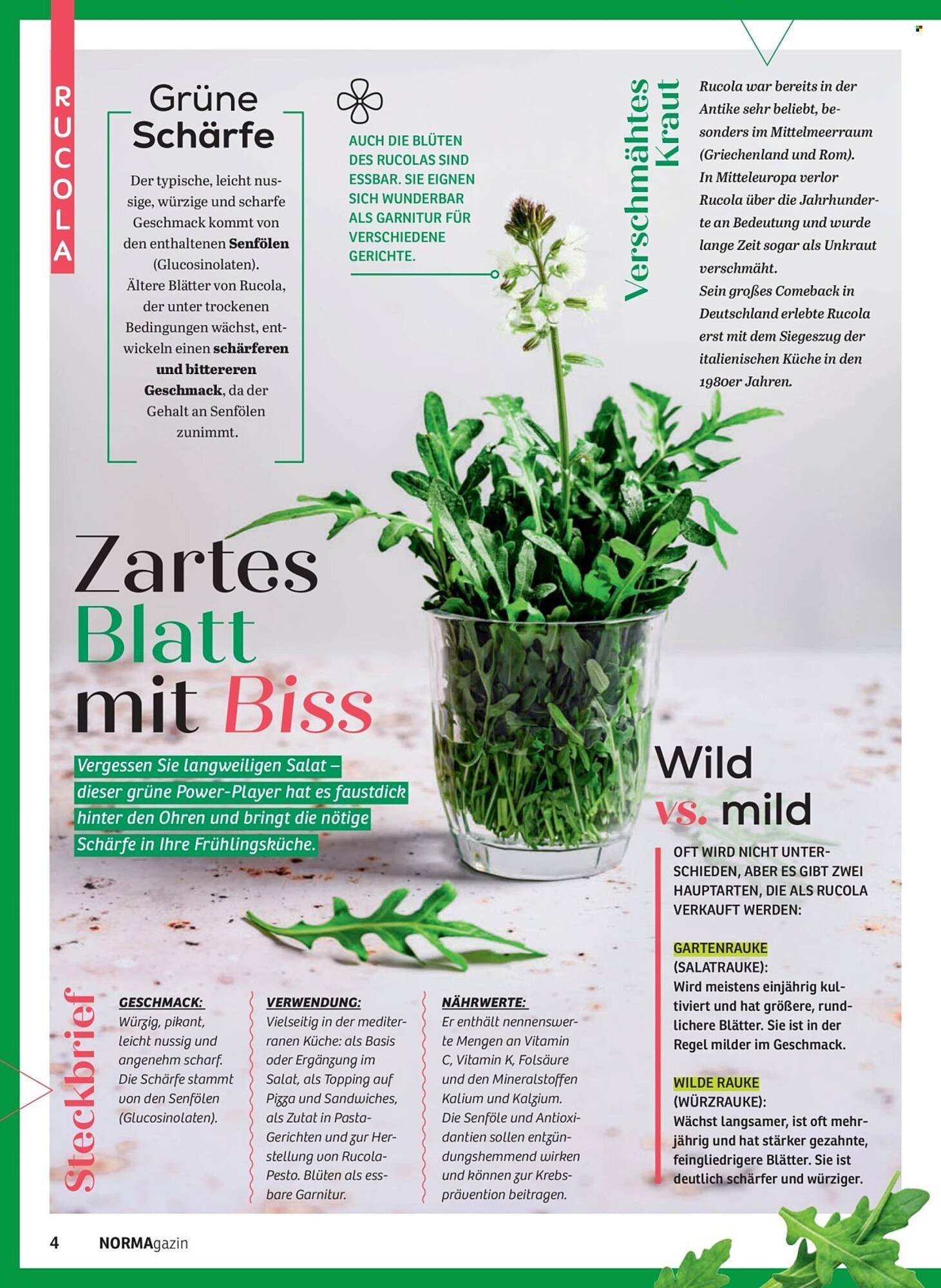 Norma Magazin (2026-03-01 - 2026-04-30)