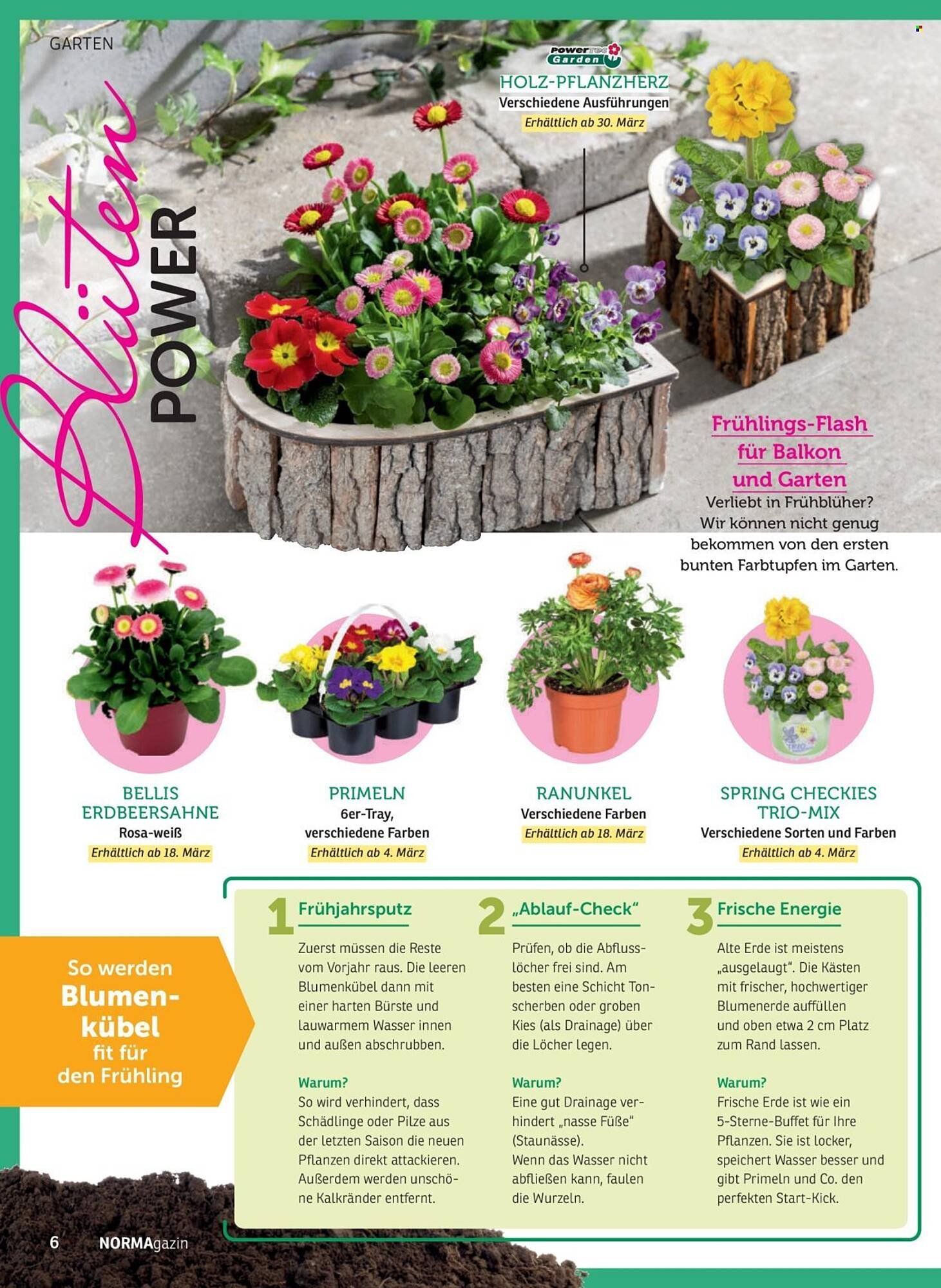 Norma Magazin (2026-03-01 - 2026-04-30)