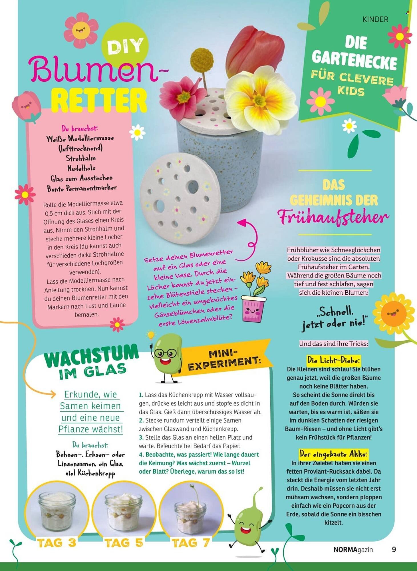 Norma Magazin (2026-03-01 - 2026-04-30)