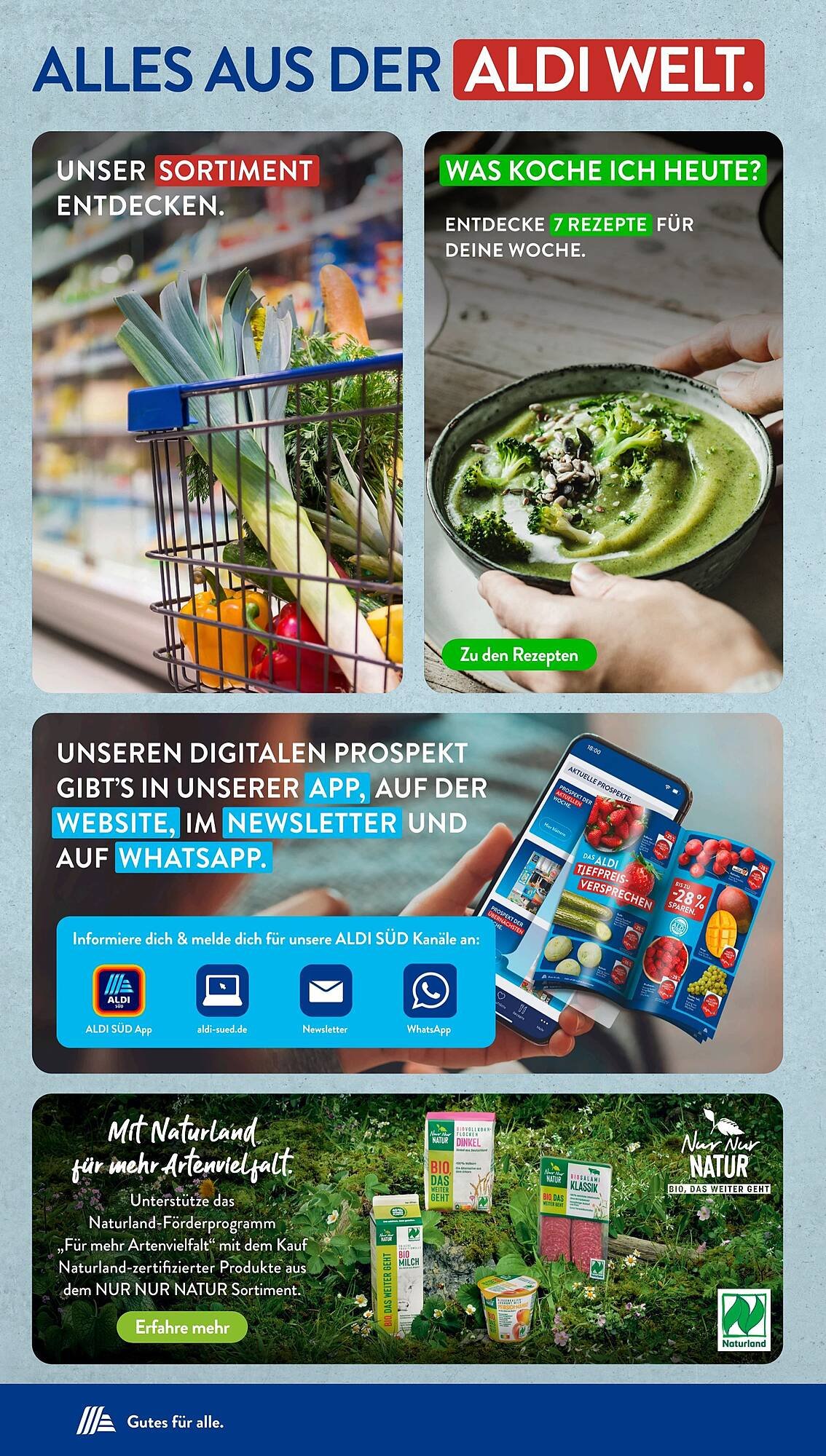 Aldi Süd Prospekt (2025-08-25 - 2025-08-31) | 33