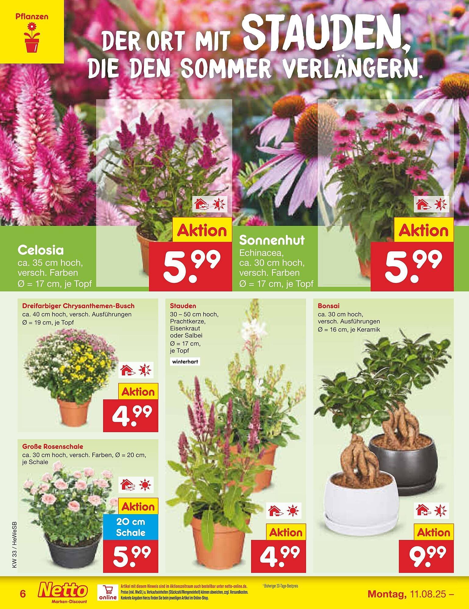 Netto Marken-Discount Prospekt (2025-08-11 - 2025-08-16) | 8