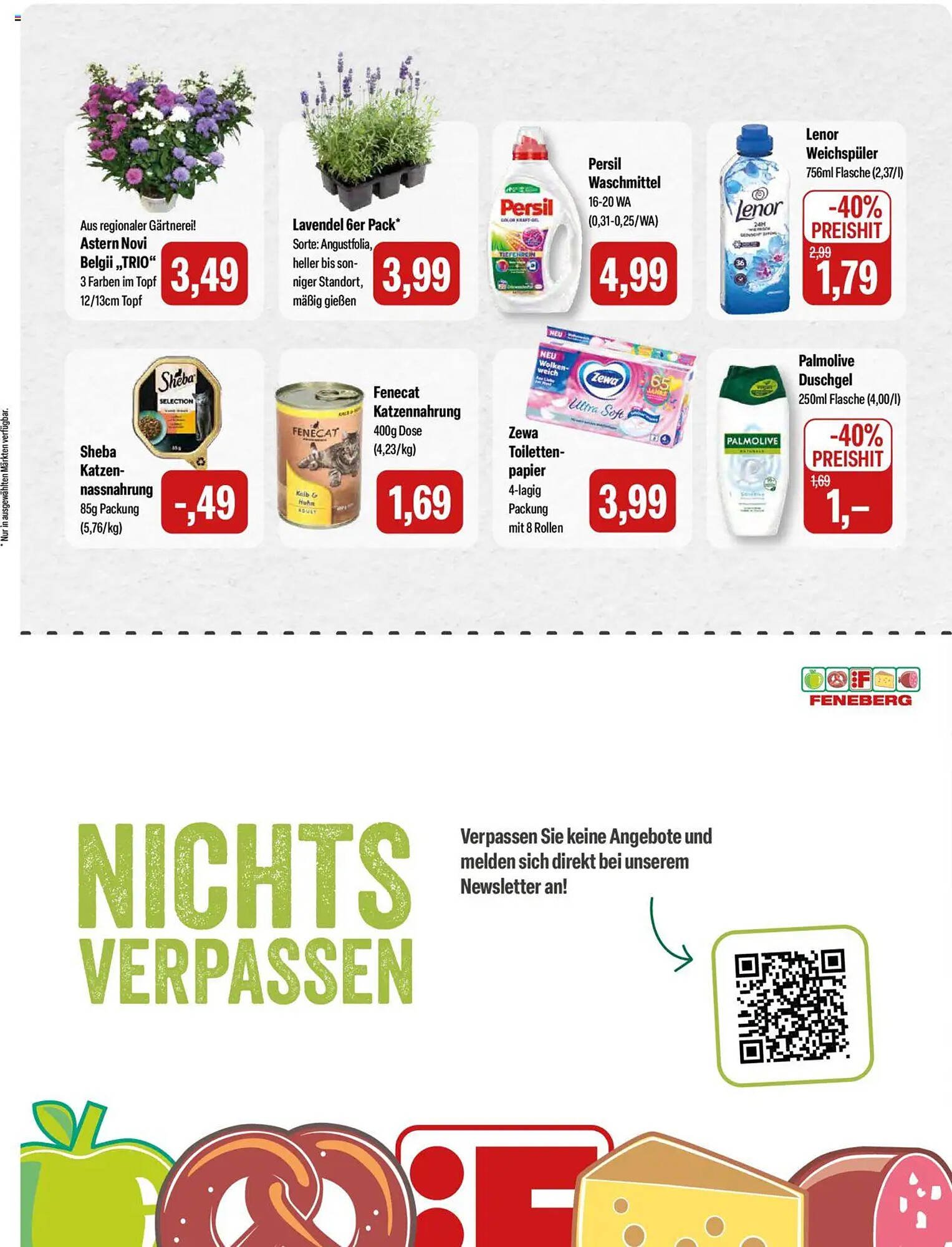 Feneberg Prospekt (2025-07-31 - 2025-08-02) | 15