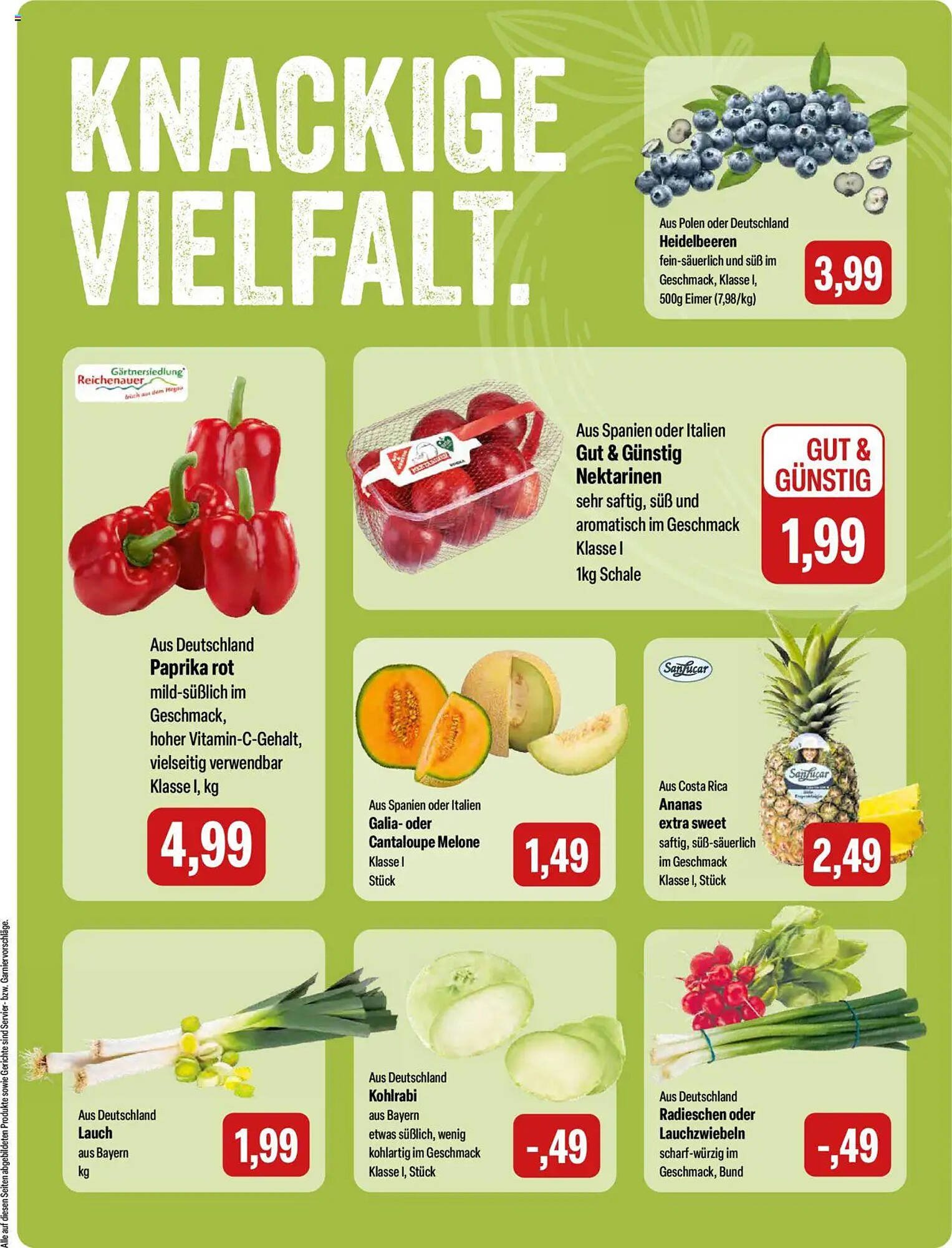 Feneberg Prospekt (2025-07-31 - 2025-08-02) | 5
