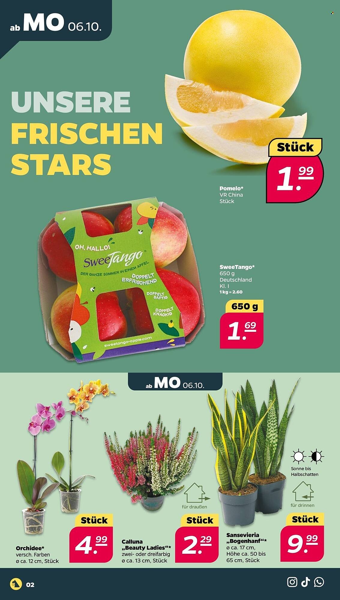 NETTO Prospekt (2025-10-06 - 2025-10-11) | 2