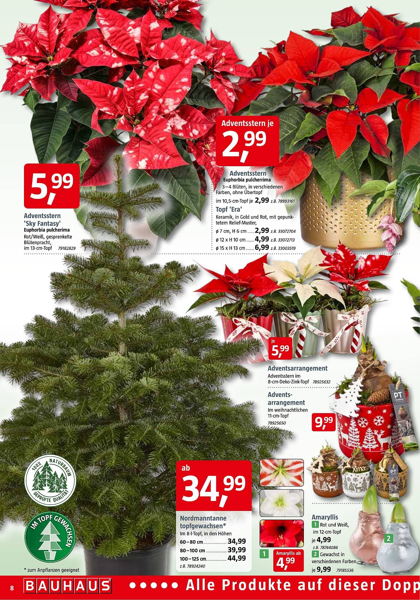 Bauhaus Prospekt (2025-11-01 - 2025-11-29)