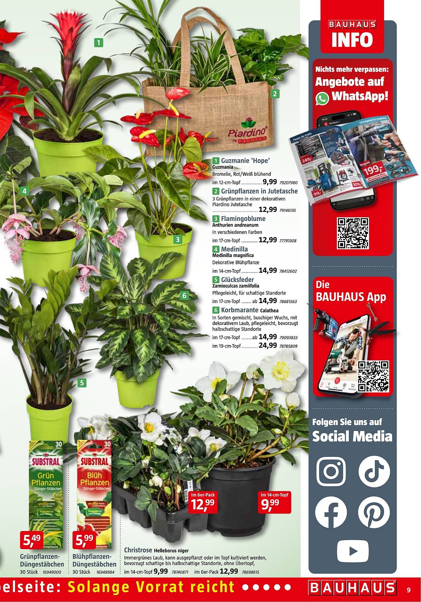 Bauhaus Prospekt (2025-11-01 - 2025-11-29)