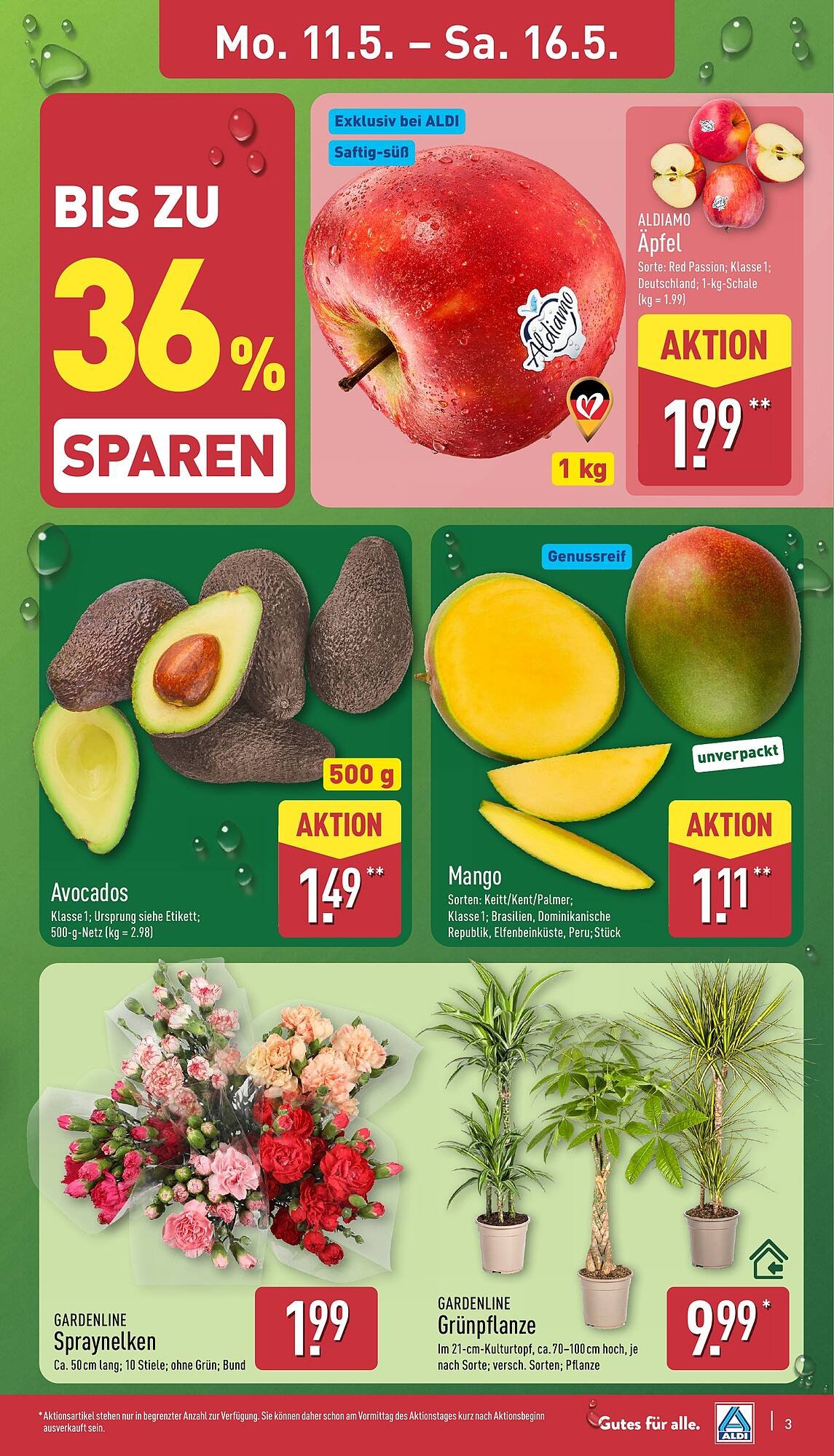 Aldi Nord Prospekt (2026-05-11 - 2026-05-16)
