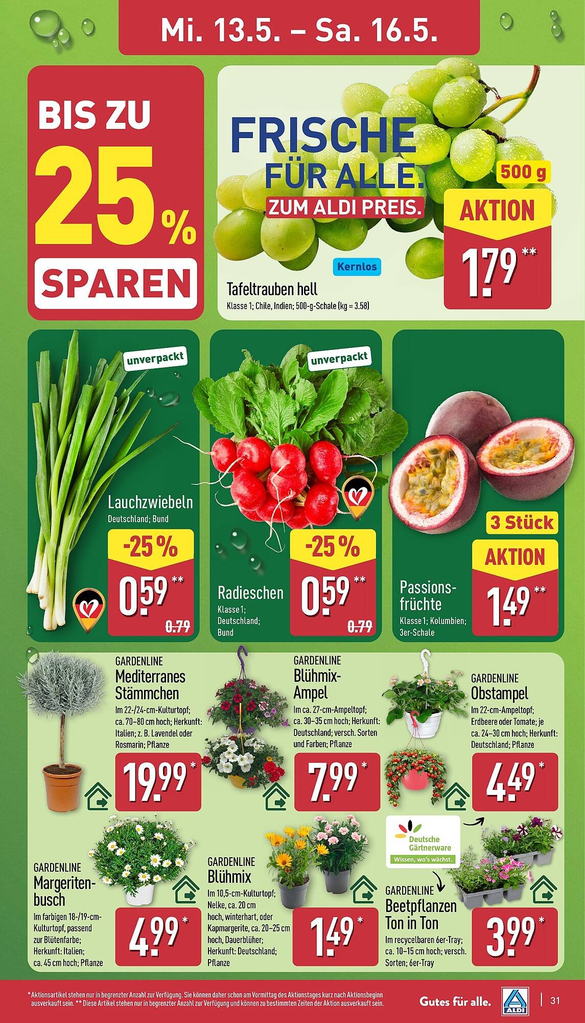 Aldi Nord Prospekt (2026-05-11 - 2026-05-16)