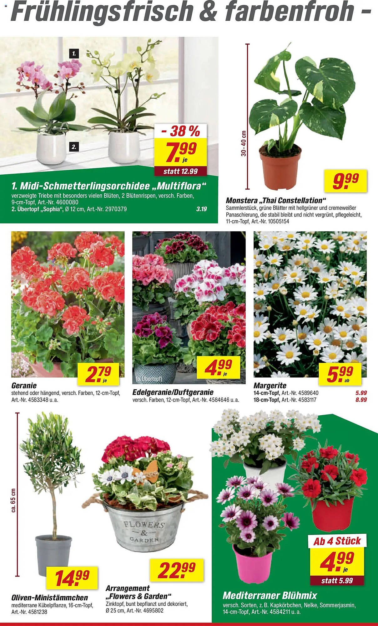 Toom Baumarkt Prospekt