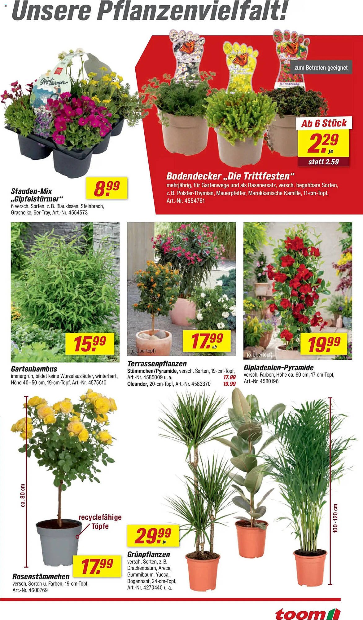 Toom Baumarkt Prospekt
