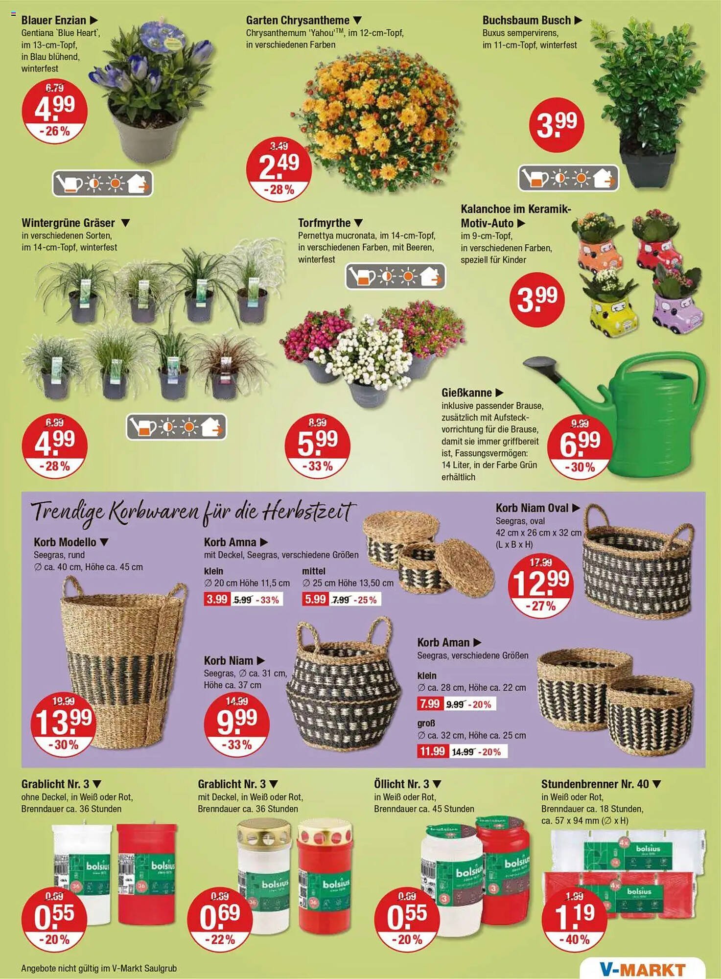 V Markt Prospekt (2025-08-28 - 2025-09-03) | 13