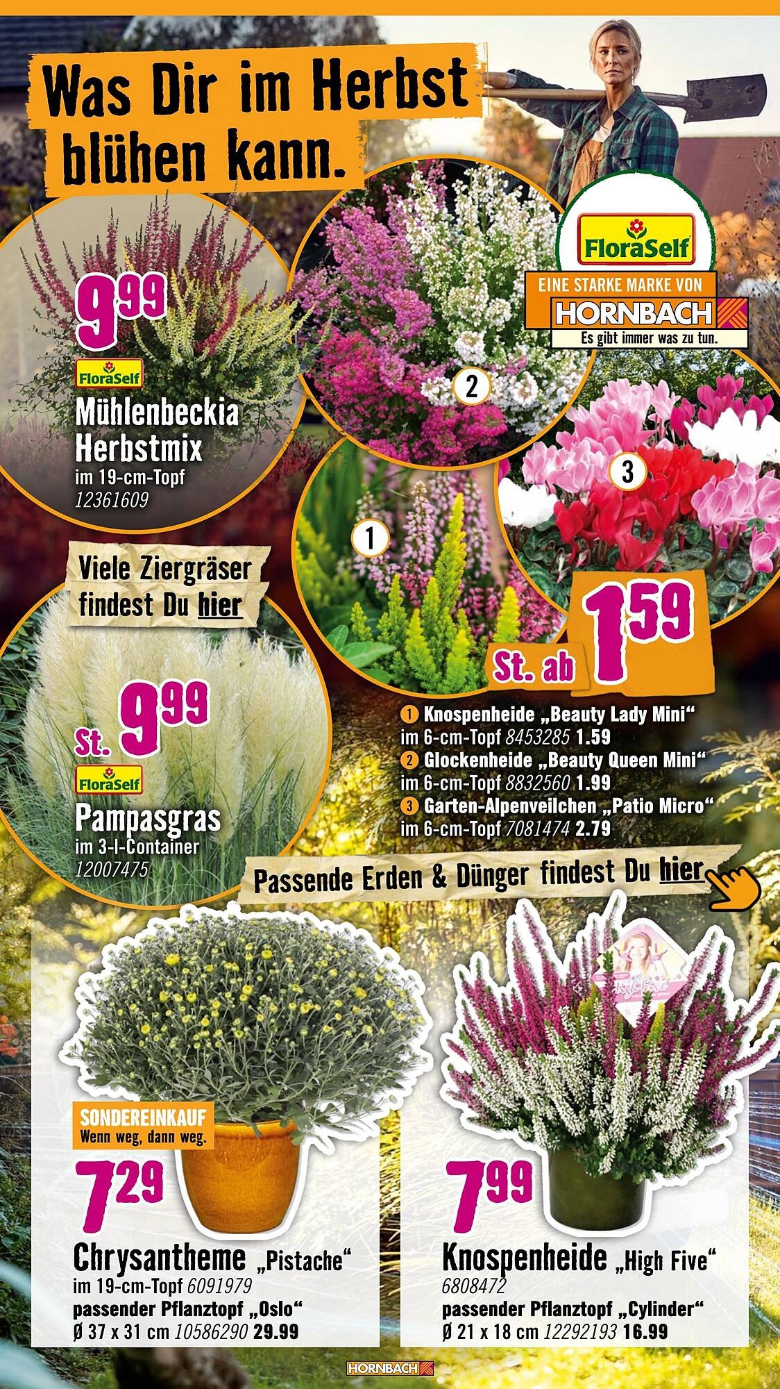 Hornbach Prospekt (2025-09-03 - 2025-10-01) | 14
