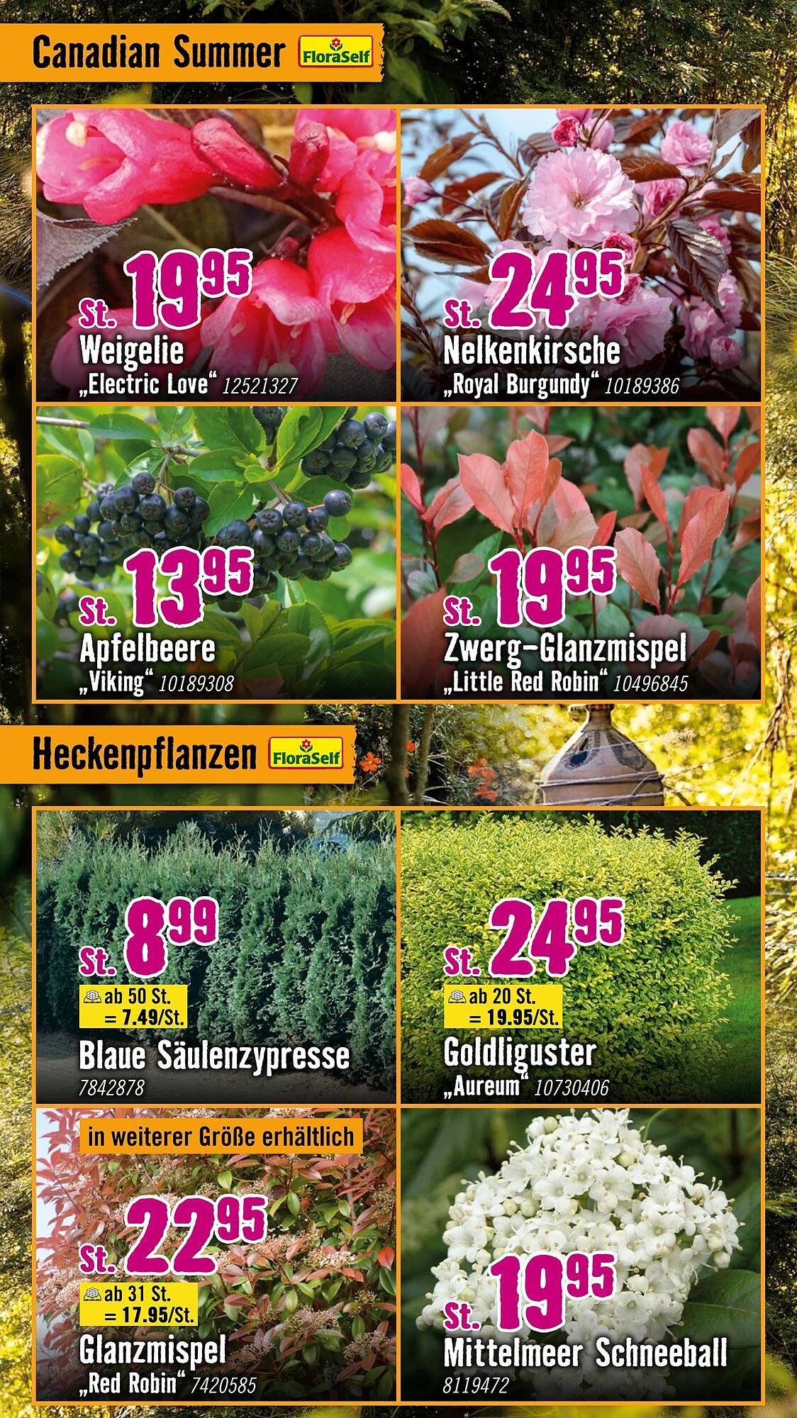 Hornbach Prospekt (2025-09-03 - 2025-10-01) | 15