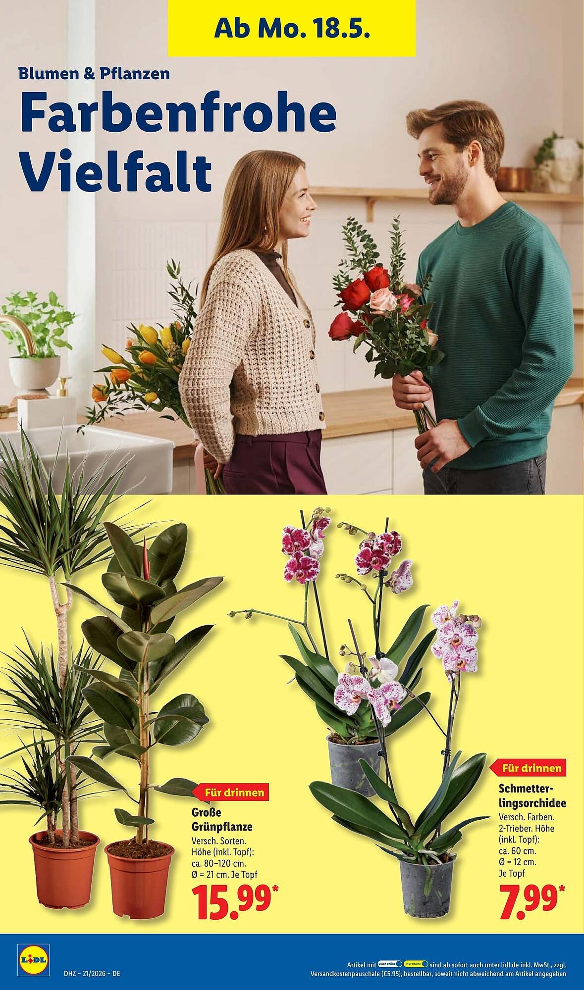 Lidl Prospekt