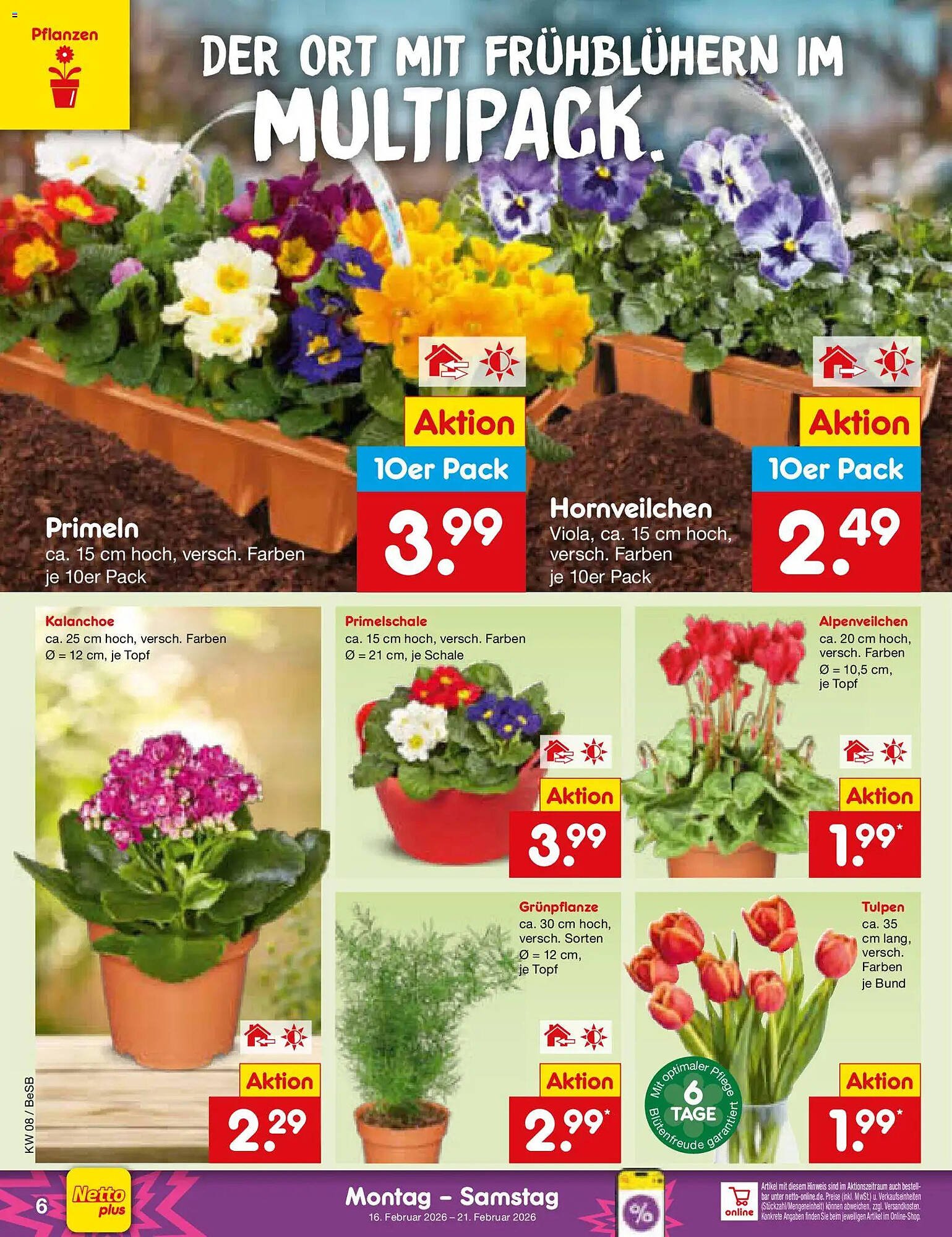 Netto Marken-Discount Prospekt (2026-02-16 - 2026-02-21)