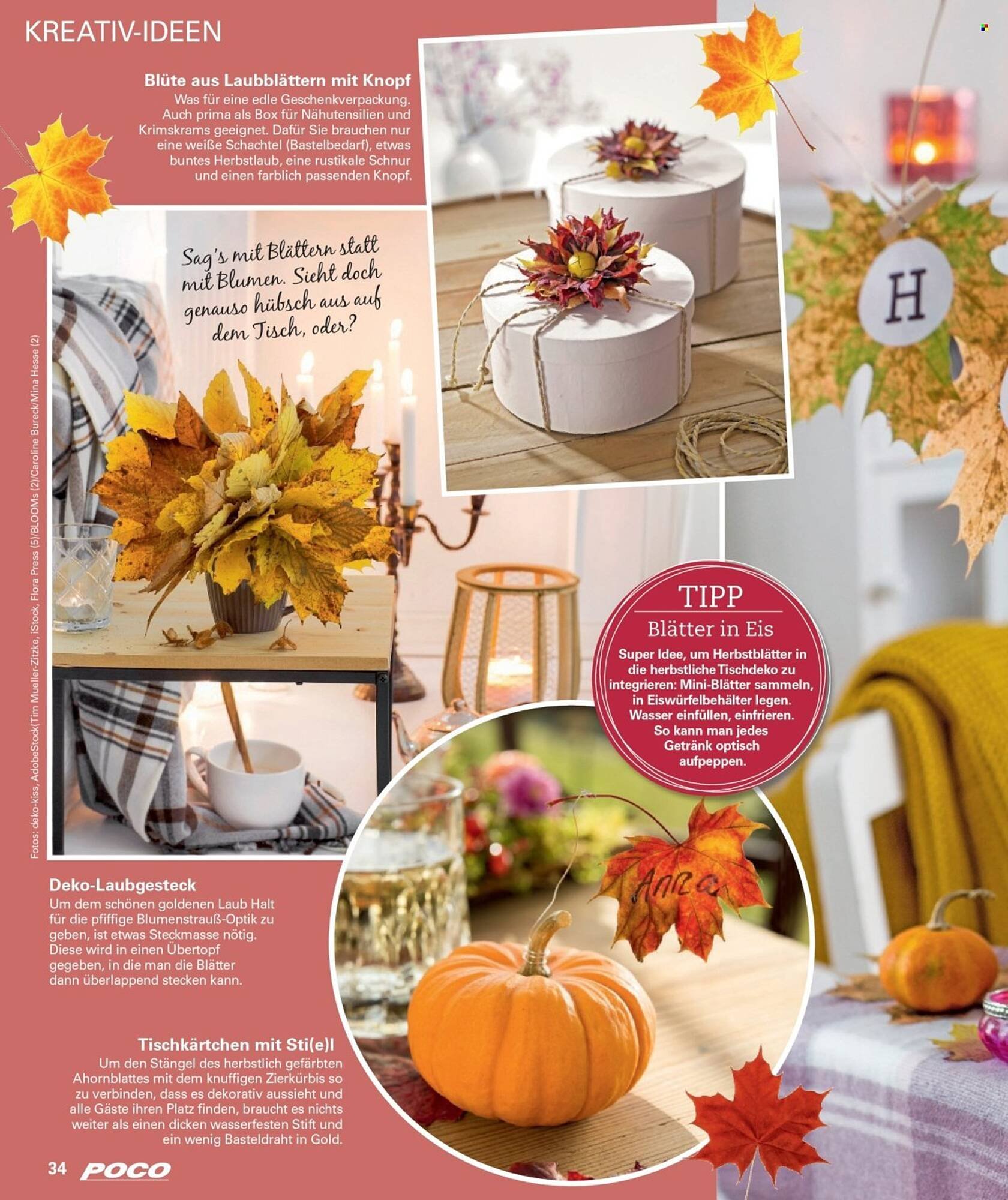 Poco Magazin (2025-09-01 - 2025-11-30)