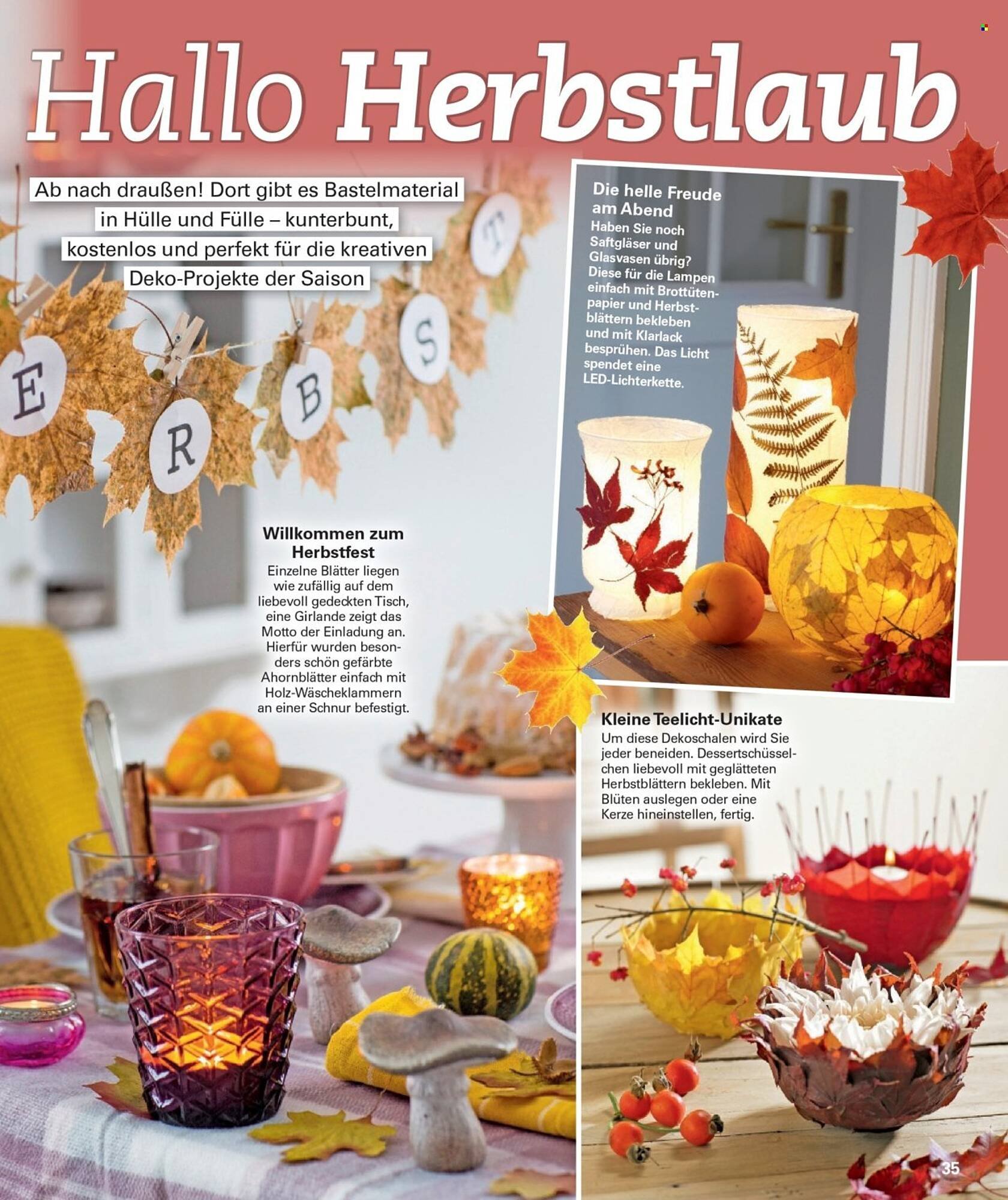 Poco Magazin (2025-09-01 - 2025-11-30)