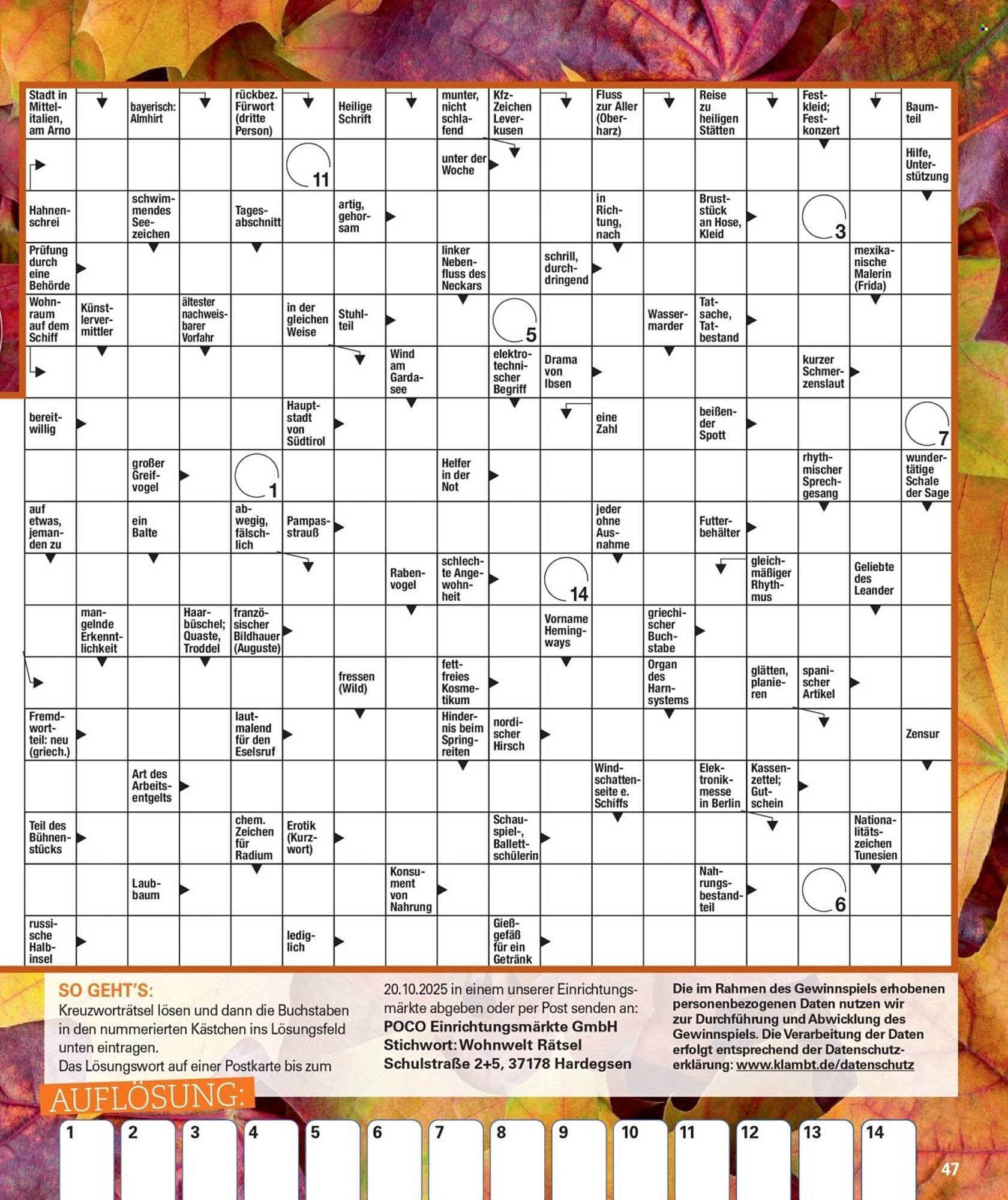 Poco Magazin (2025-09-01 - 2025-11-30)
